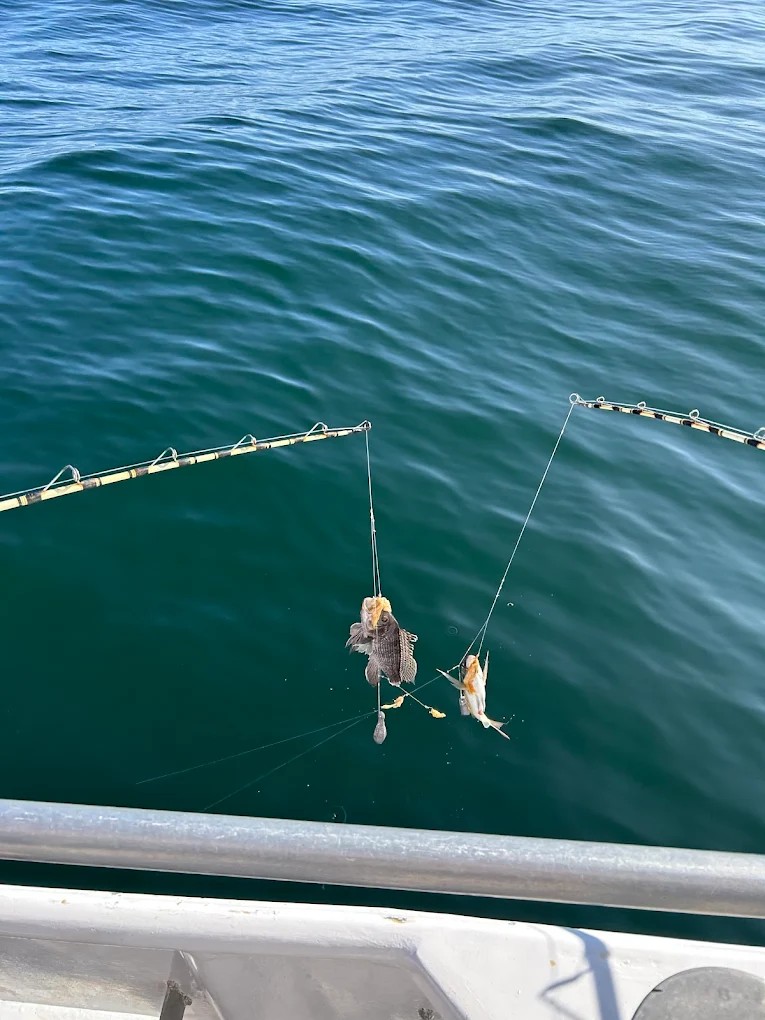 Captain Steve Kearney at the helm of Super Hawk Fishing Charter in Point Lookout Nassau County