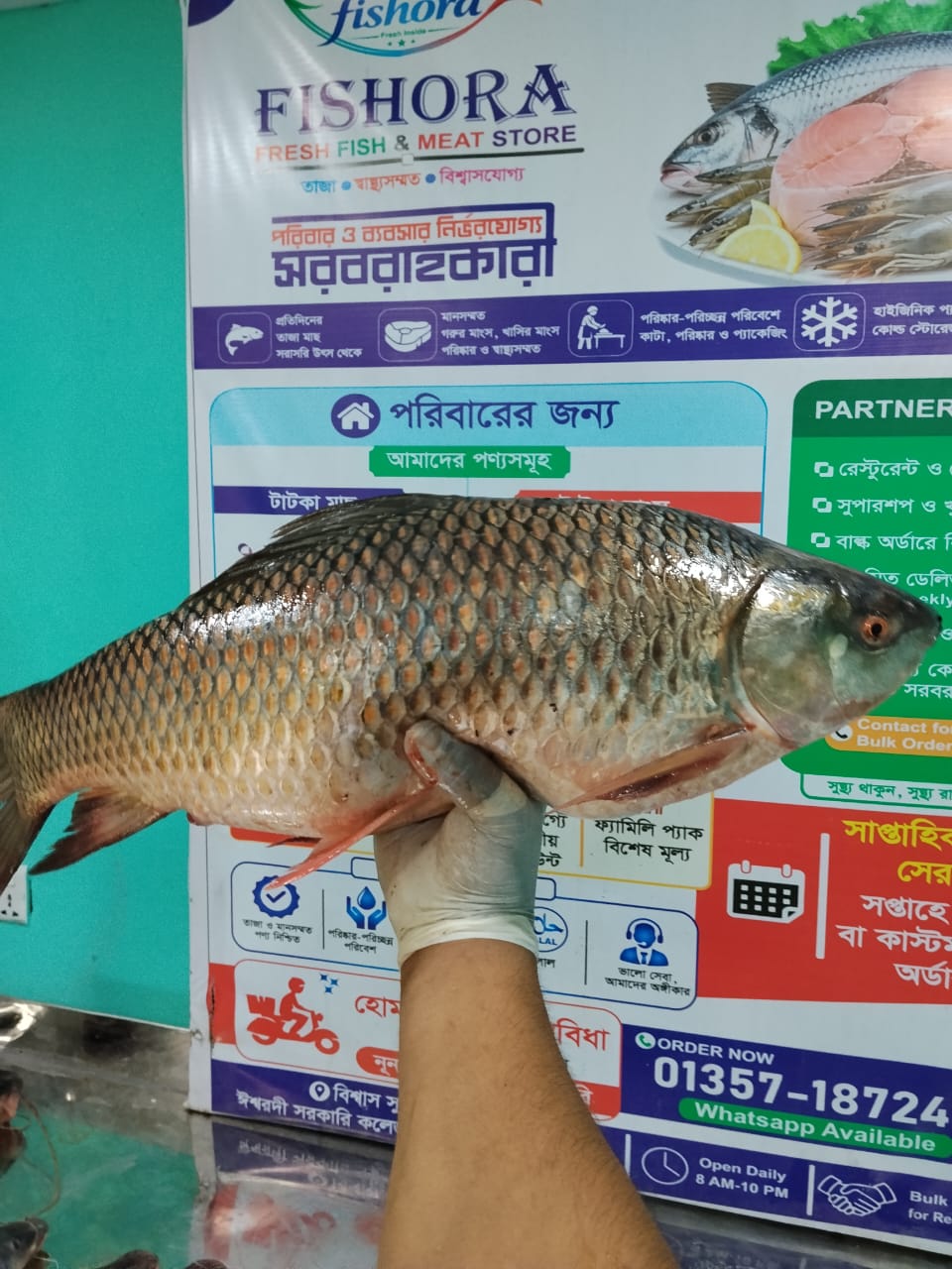 রুই মাছ (যমুনা নদীর) at Fishora