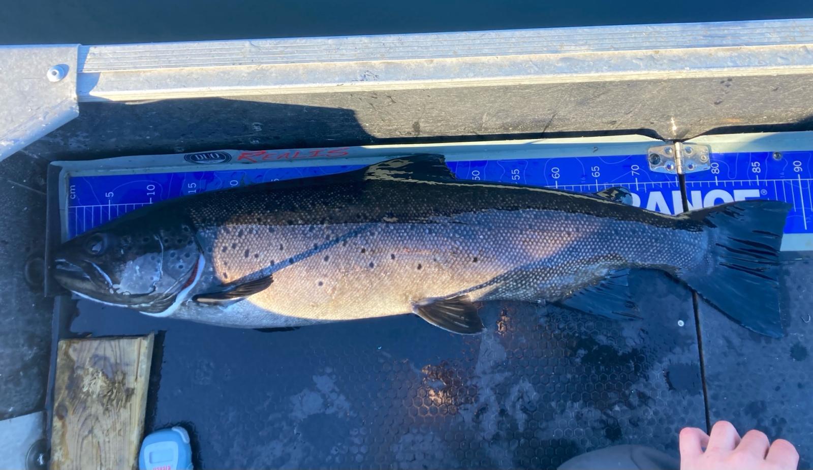 89 poäng fångad av Petter Handeland i Trout Open Norway
