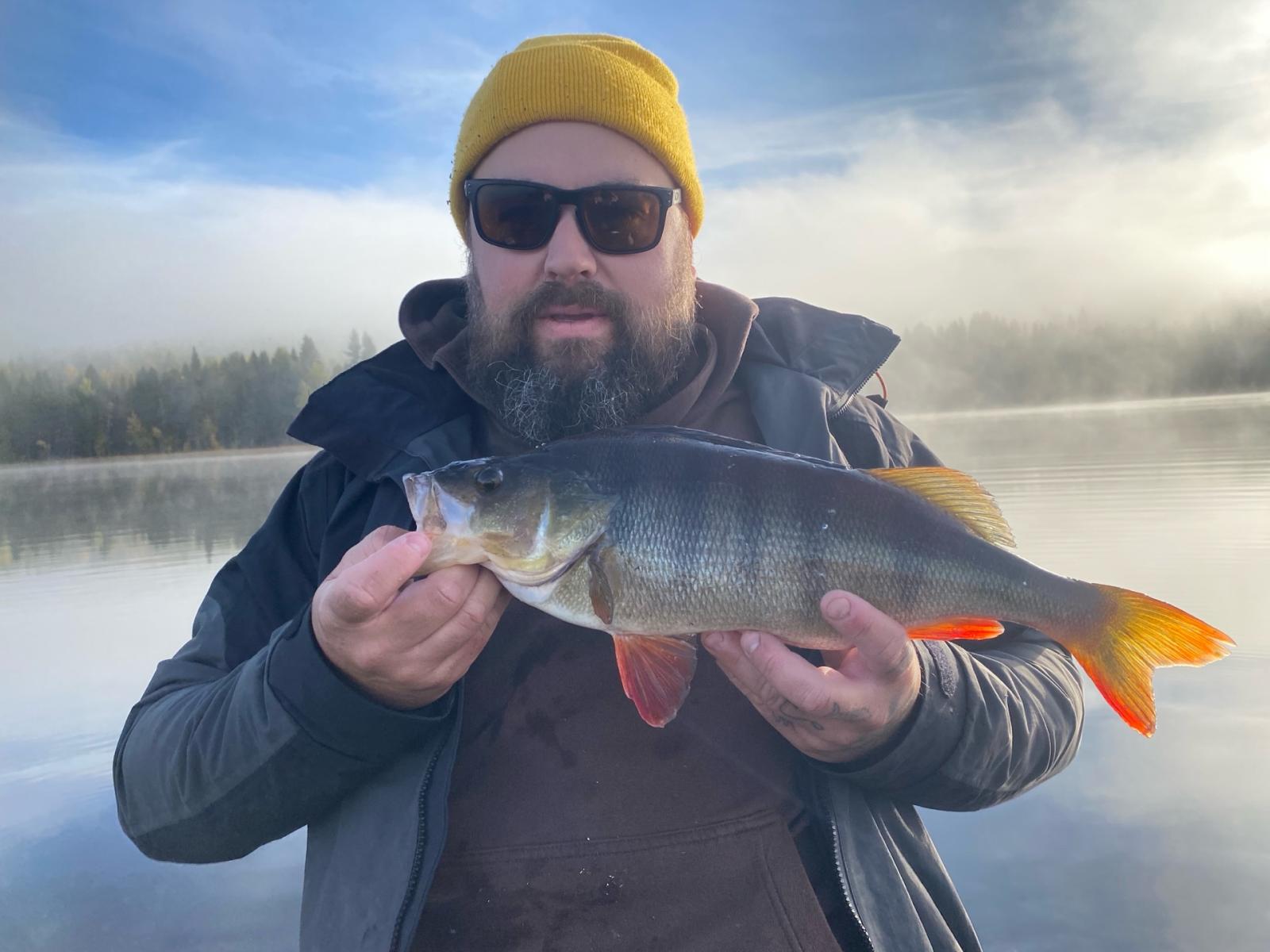 Aborre 44 <span translate=no class=notranslate data-no-translation>Poäng</span> fångad av Robin Jansson,Ludvig Jansson,Stig Strömberg (Team Medium) i Pike & Perch 2,5 Challenge 2025