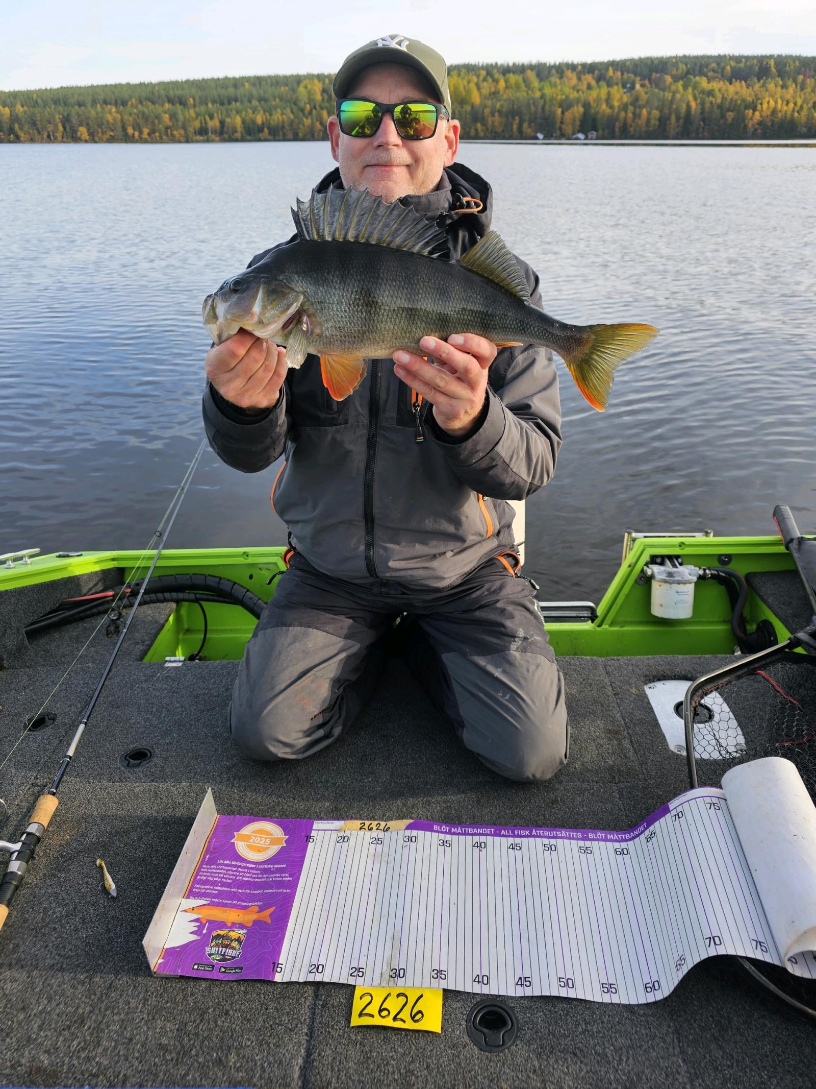 Aborre 47 <span translate=no class=notranslate data-no-translation>Poäng</span> fångad av Mats Enqvist,Erik Wetter (Team Terhi) i Pike & Perch 2,5 Challenge 2025