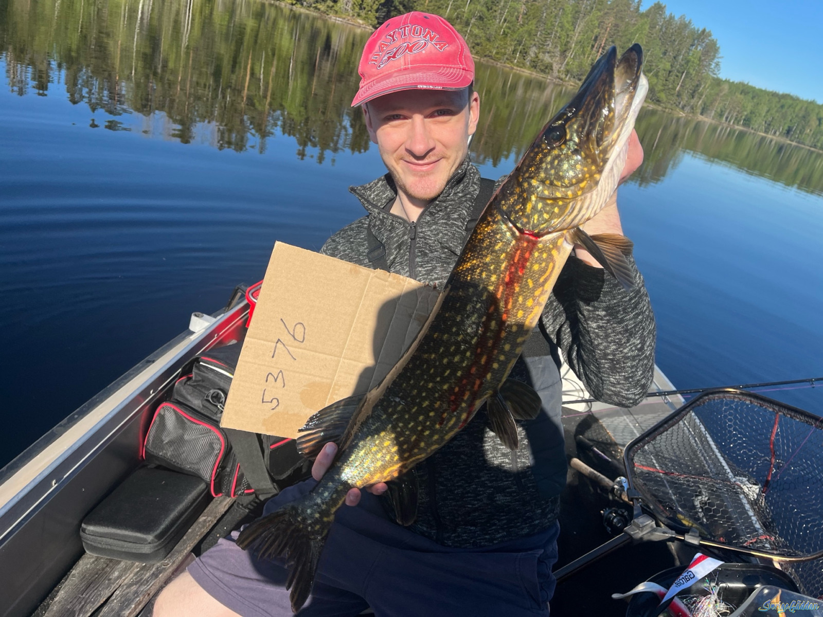 78 cm fångad av Andreas Larrson,Daniel Ljusberg (Teamrå Pike) i SverigeGäddan 2026 Vår