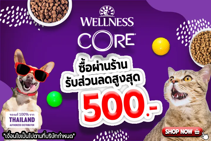 สินค้าใหม่ อาหารเม็ดแมวและสุนัข Wellness Core