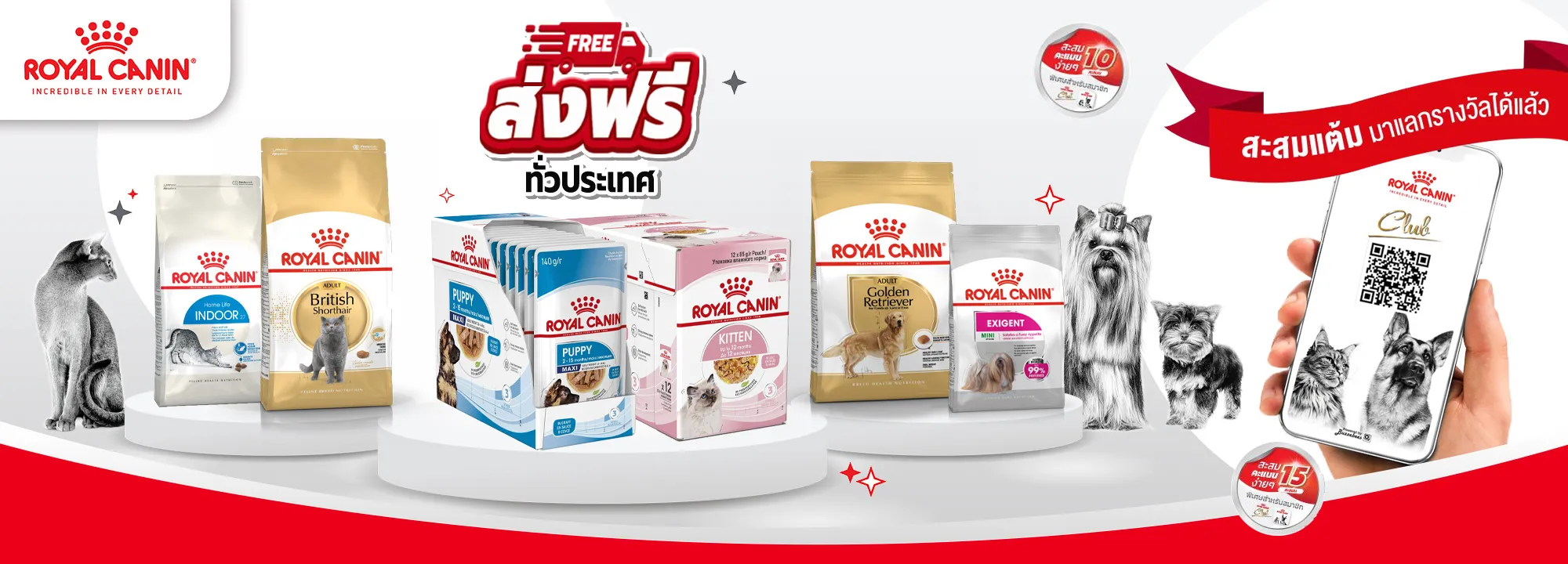 Royal canin Club