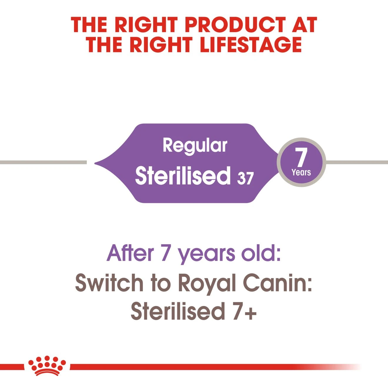 ROYAL CANIN Sterilised37 อาหารเม็ดสำหรับแมวโตทำหมัน ทุกสายพันธุ์