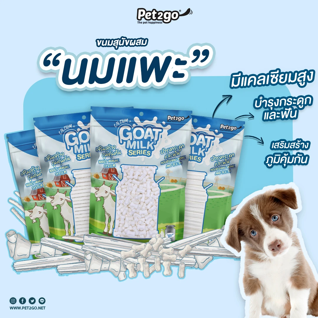 Pet 2 Go นมแพะ