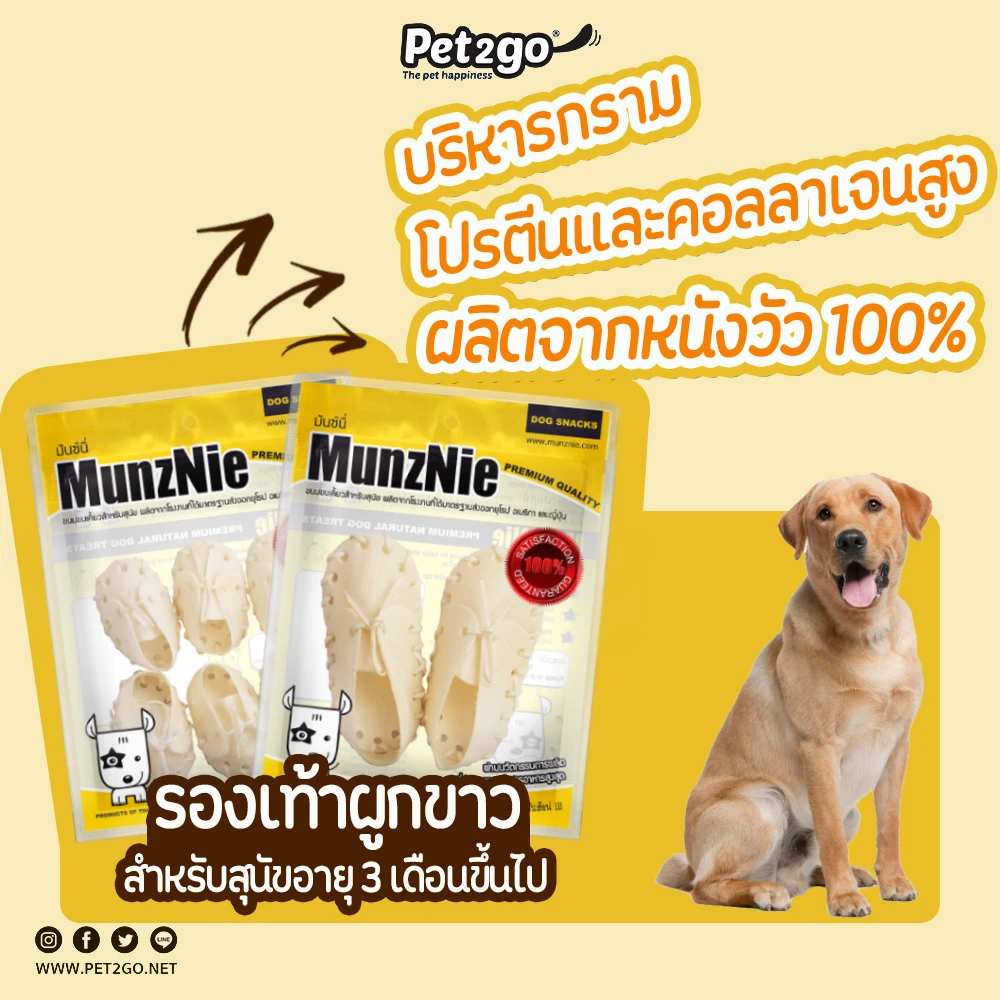 Munzine รองเท้าผูก