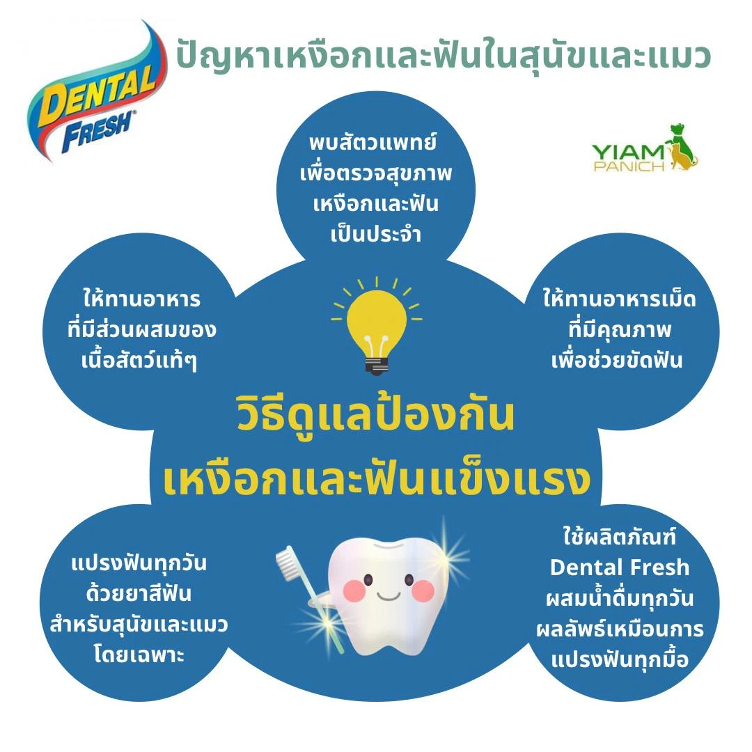 Dental Fresh น้ำยาผสมน้ำดื่มลดกลิ่นปาก สำหรับสุนัข