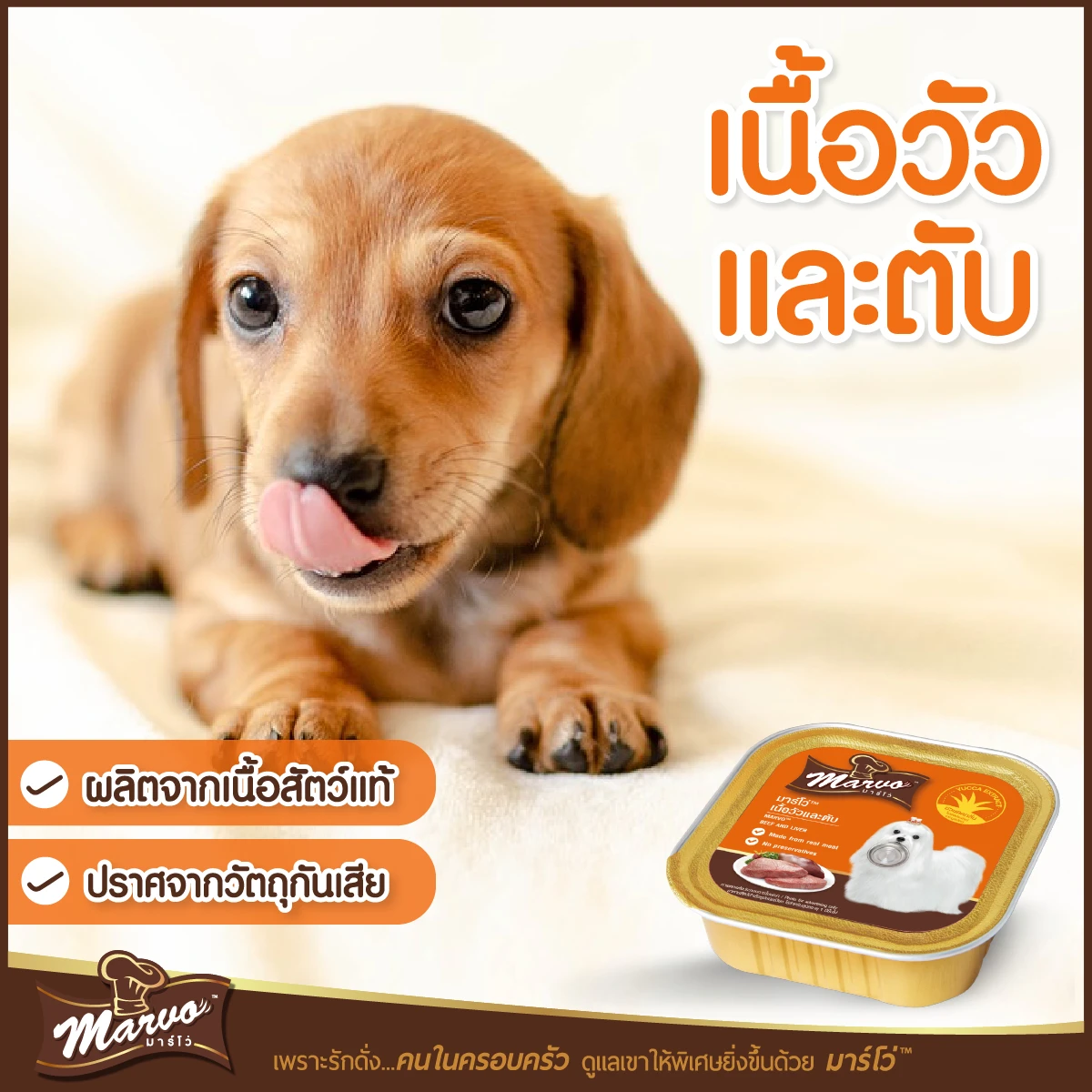 Marvo มาร์โว่ อาหารสุนัขชนิดเปียก แบบถาด ขนาด 85 g.