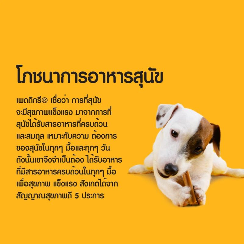 Pedigree DENTA STIX ขนมสุนัขชนิดแท่ง สำหรับสุนัขโตพันธุ์จิ๋ว