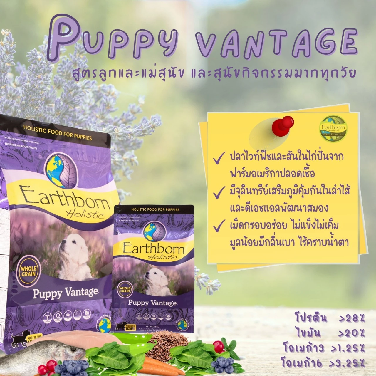 Earthborn Holistic,Puppy Vantage Puppy 2 12 Months White Meat Chicken and Fish Formula (Purple)