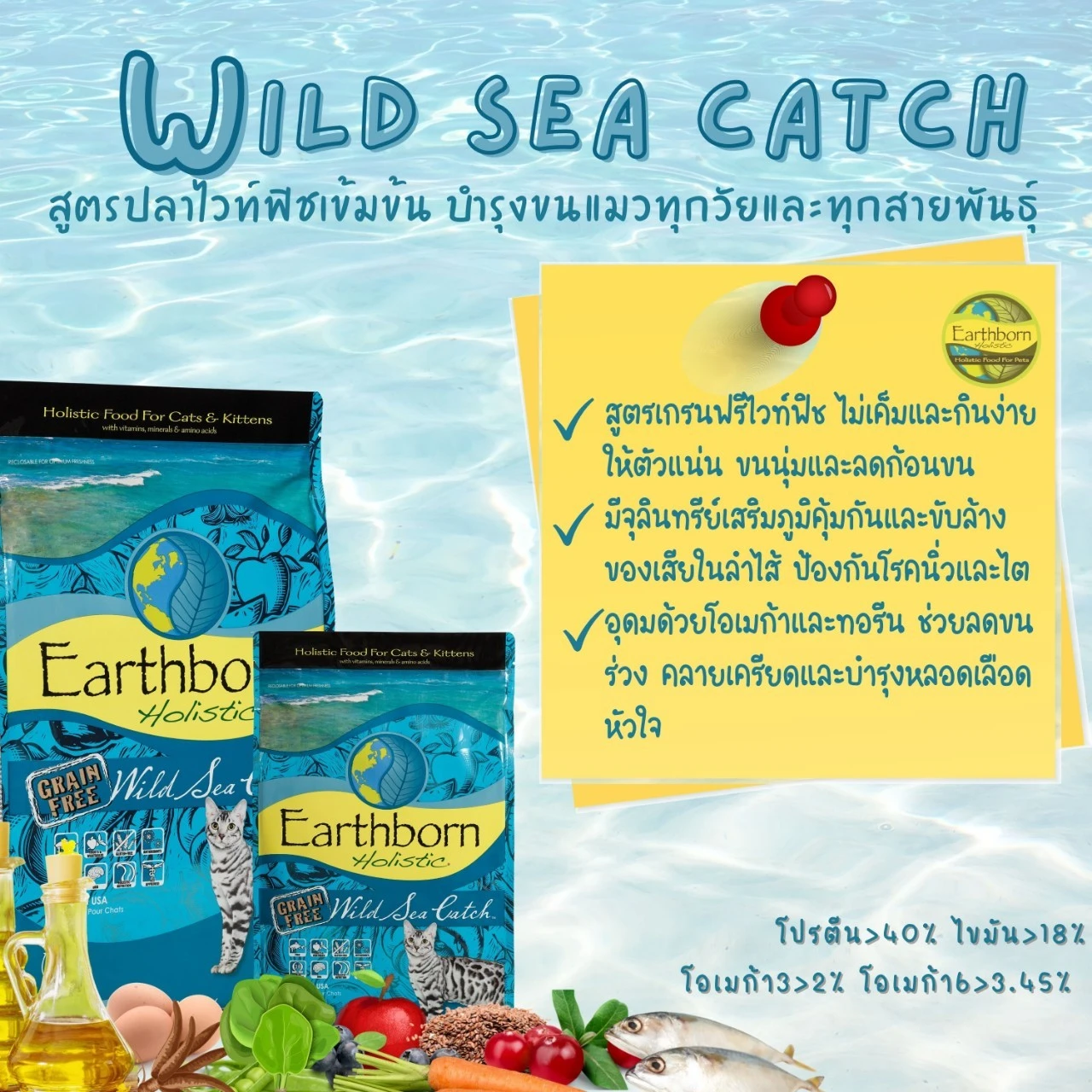 Earthborn Wild Sea Catch(Cat&Kitten)Cats of all ages. Salmon Recipes