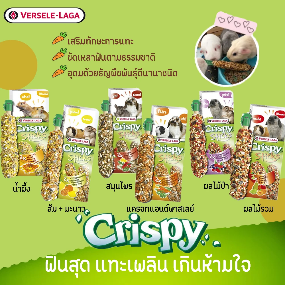 Crispy Sticks ขนมแท่ง สำหรับสัตว์ฟันแทะ 110g.