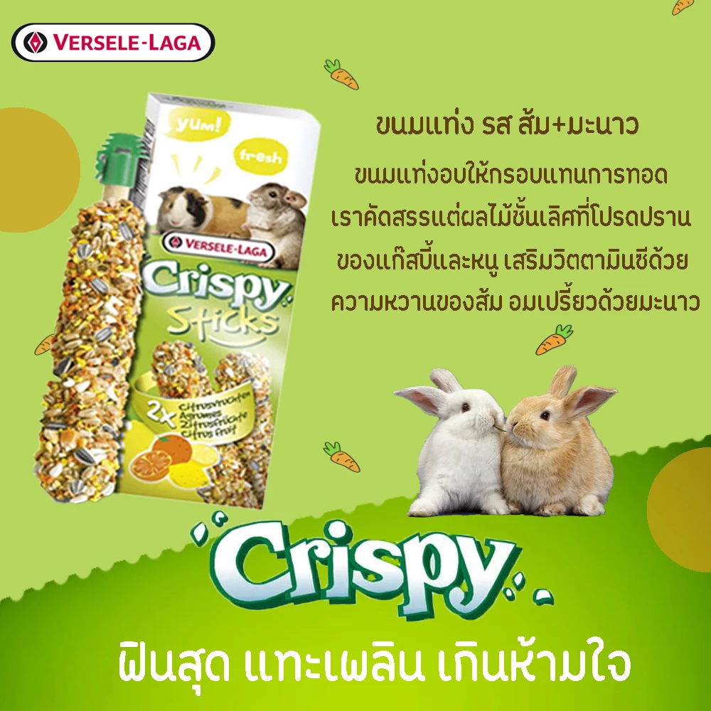 Crispy Sticks ขนมแท่ง สำหรับสัตว์ฟันแทะ 110g.