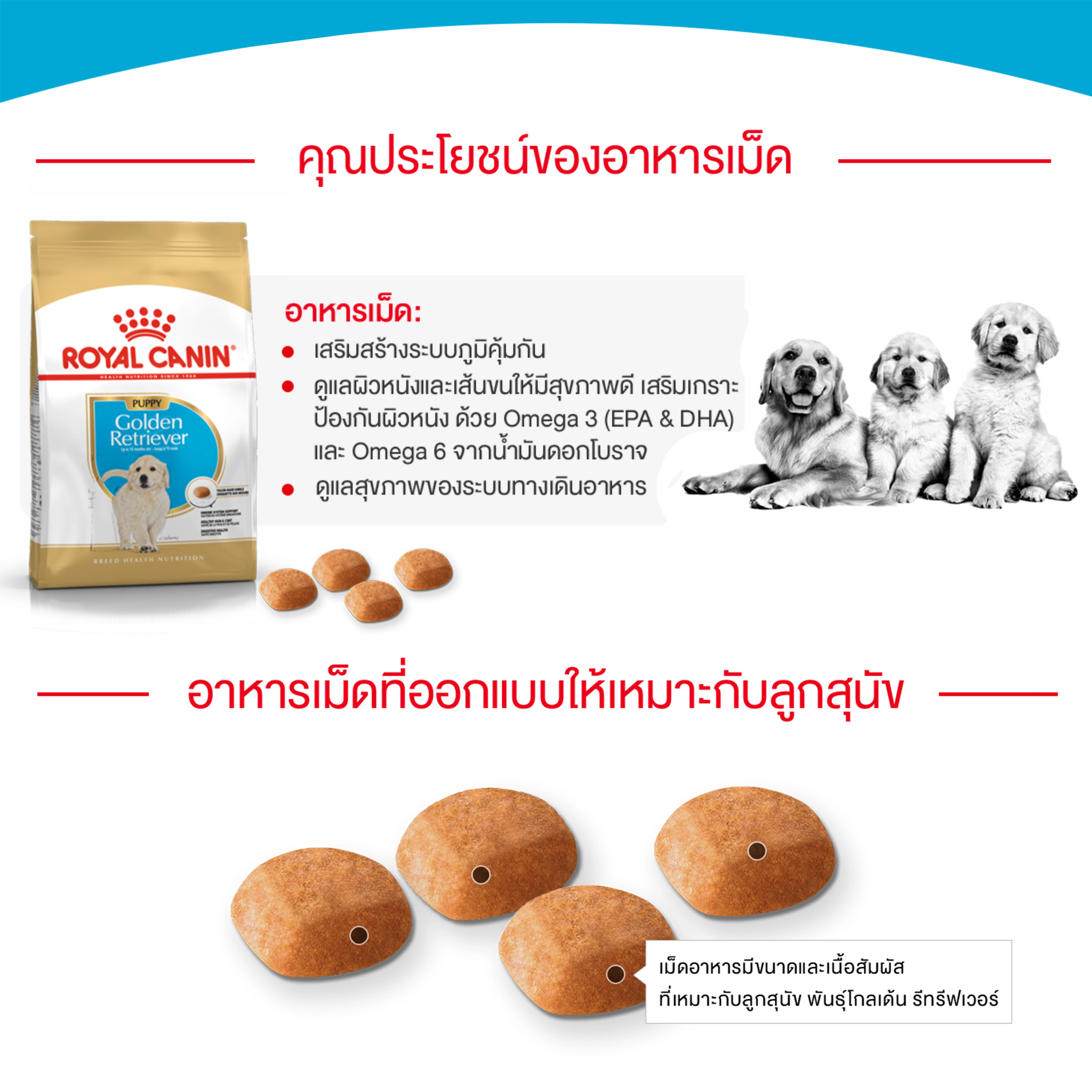 ROYAL CANIN Golden Retriever Puppy อาหารเม็ดสำหรับลูกสุนัขพันธุ์โกลเด้นรีทรีฟเวอร์