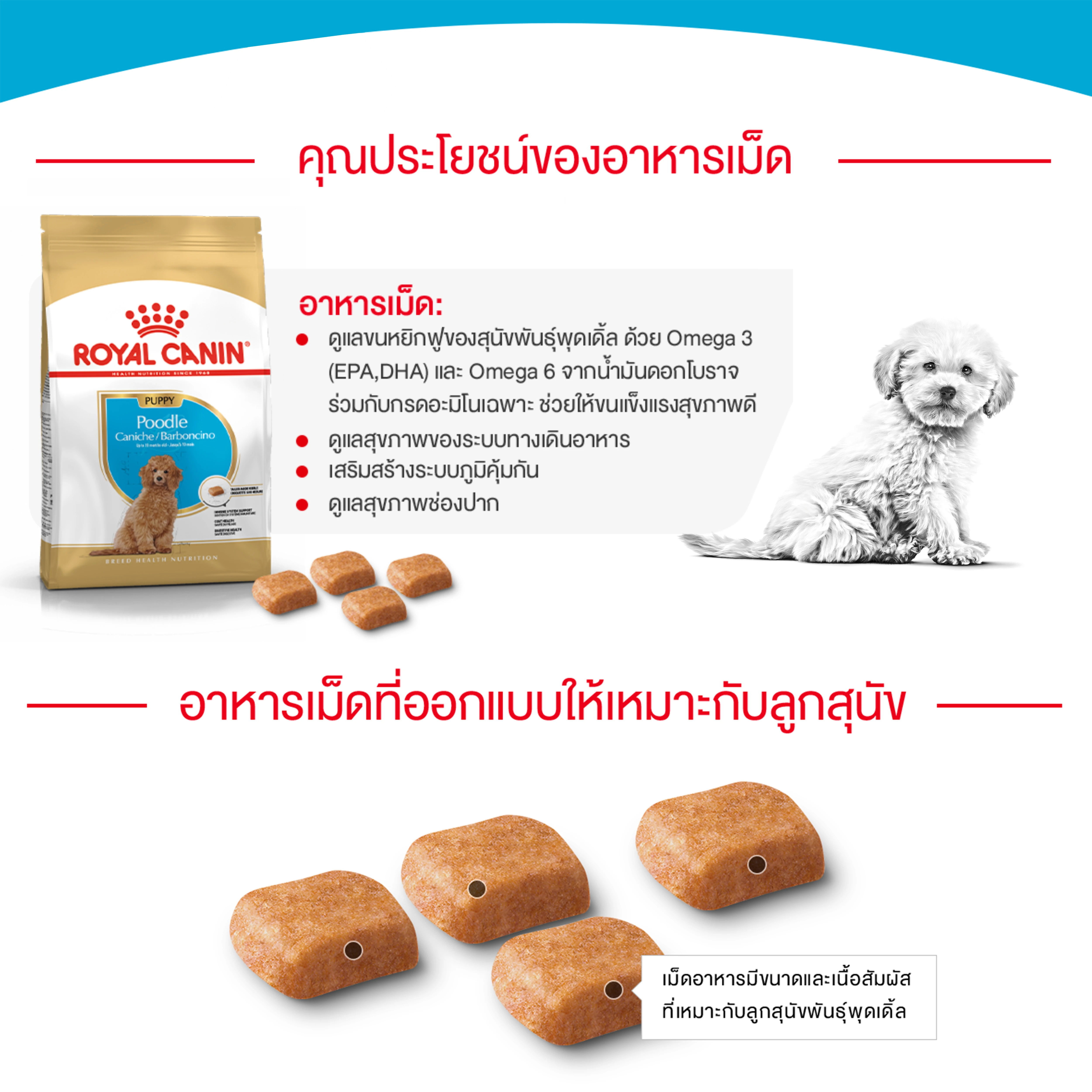 ROYAL CANIN Poodle Puppy อาหารเม็ดสำหรับลูกสุนัขพันธุ์พุดเดิ้ล