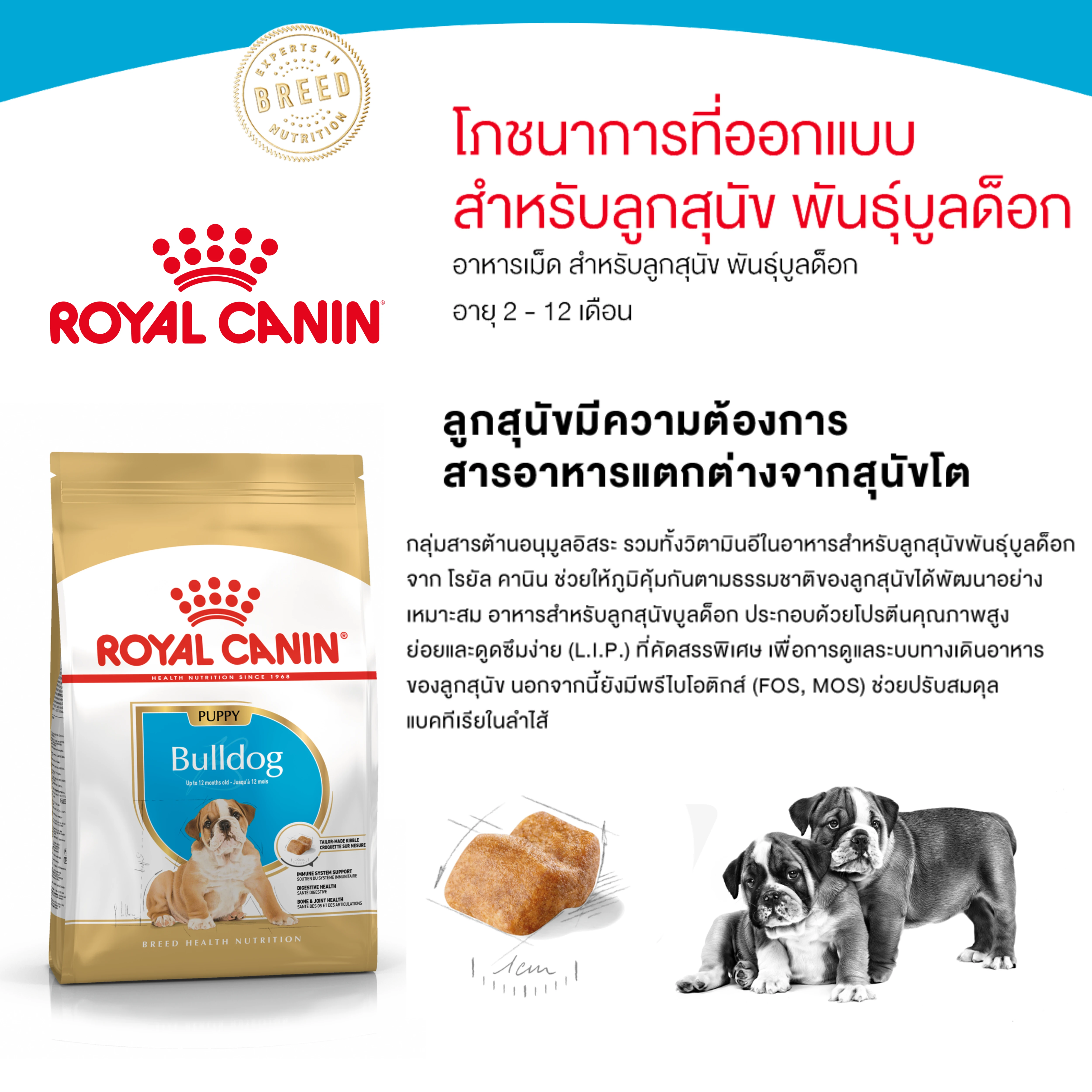 ROYAL CANIN Bulldog Puppy อาหารเม็ดสำหรับลูกสุนัขพันธุ์บูลด็อก