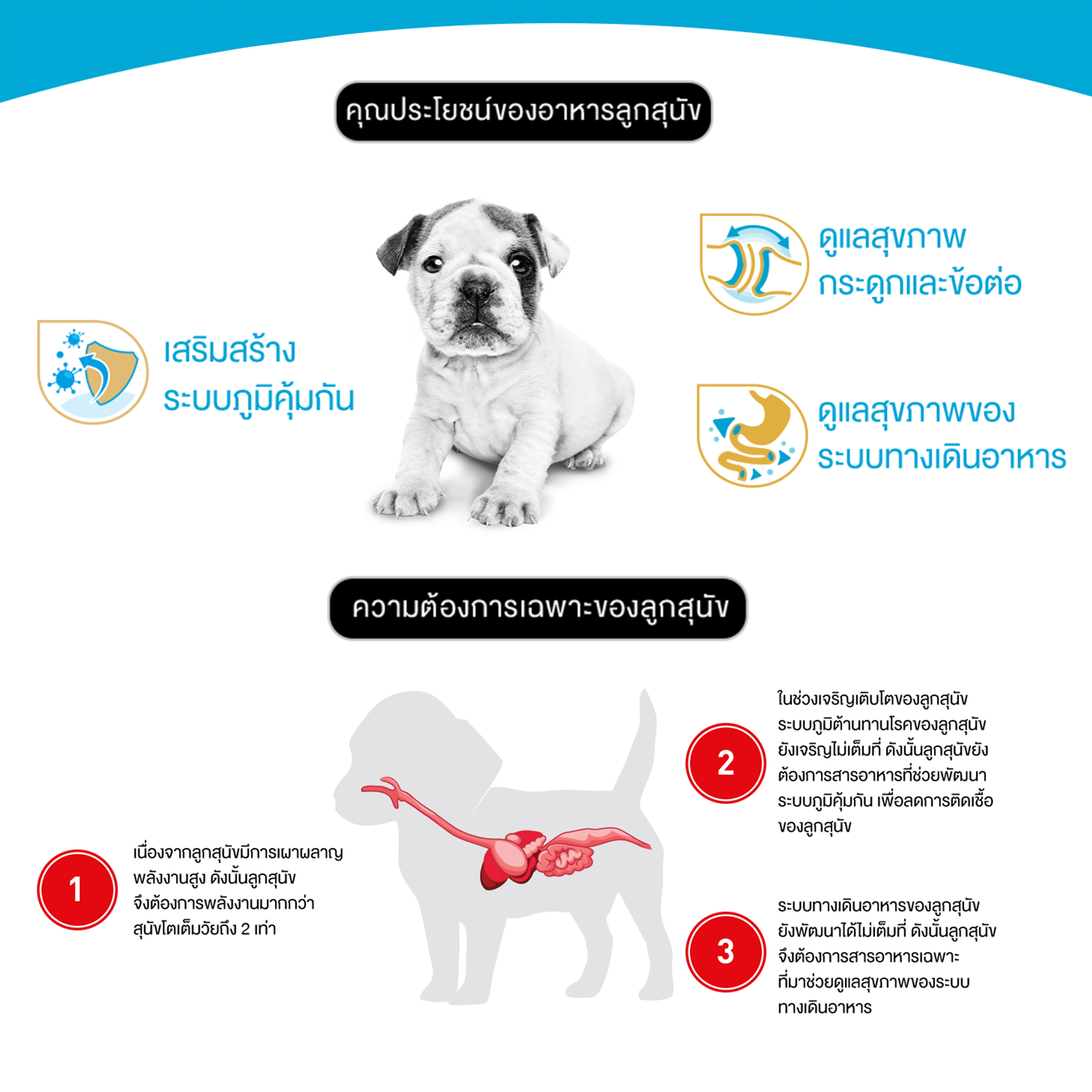 ROYAL CANIN Bulldog Puppy อาหารเม็ดสำหรับลูกสุนัขพันธุ์บูลด็อก