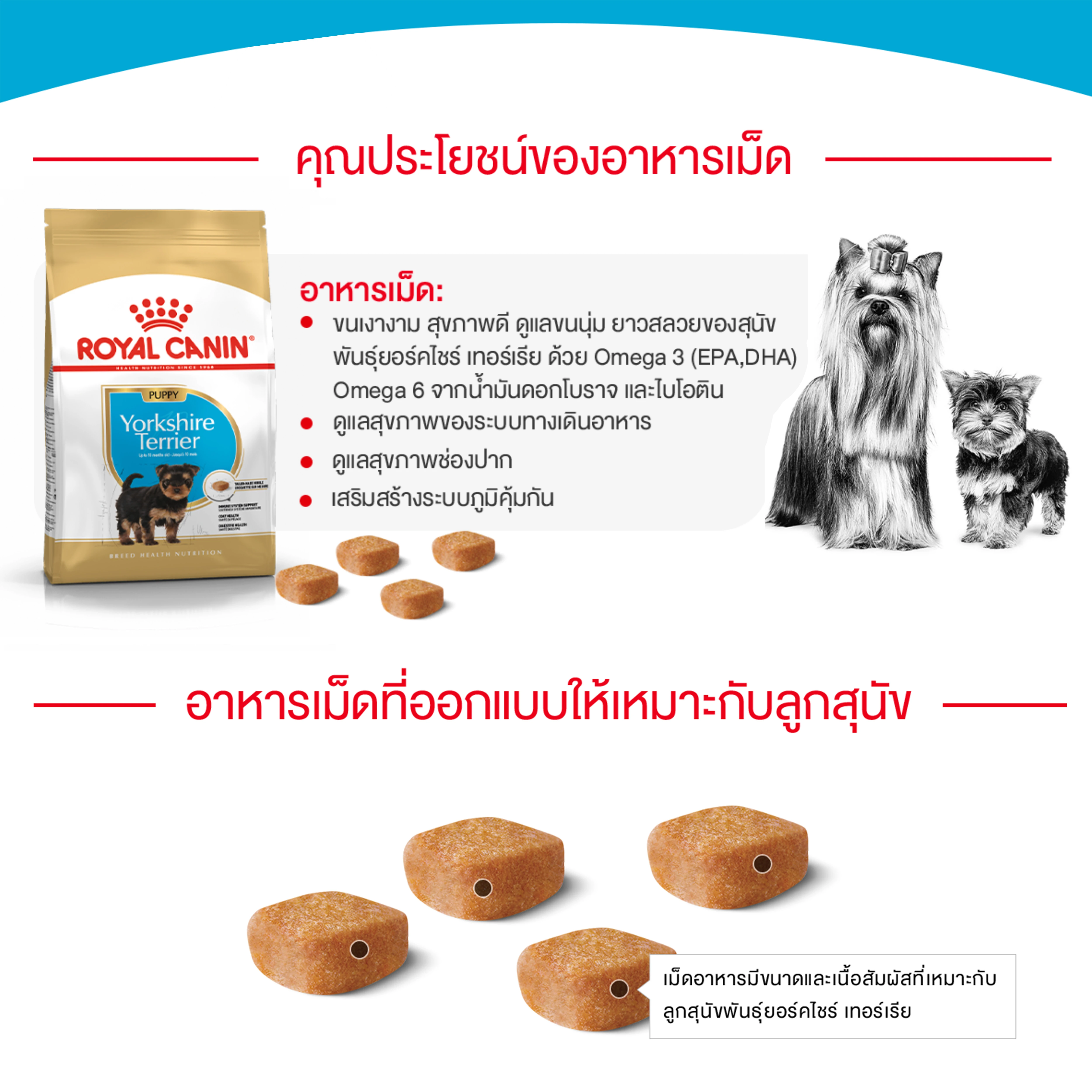 ROYAL CANIN Yorkshire Terrier Puppy อาหารเม็ดสำหรับลูกสุนัขพันธุ์ยอร์คไชร์เทอร์เรีย