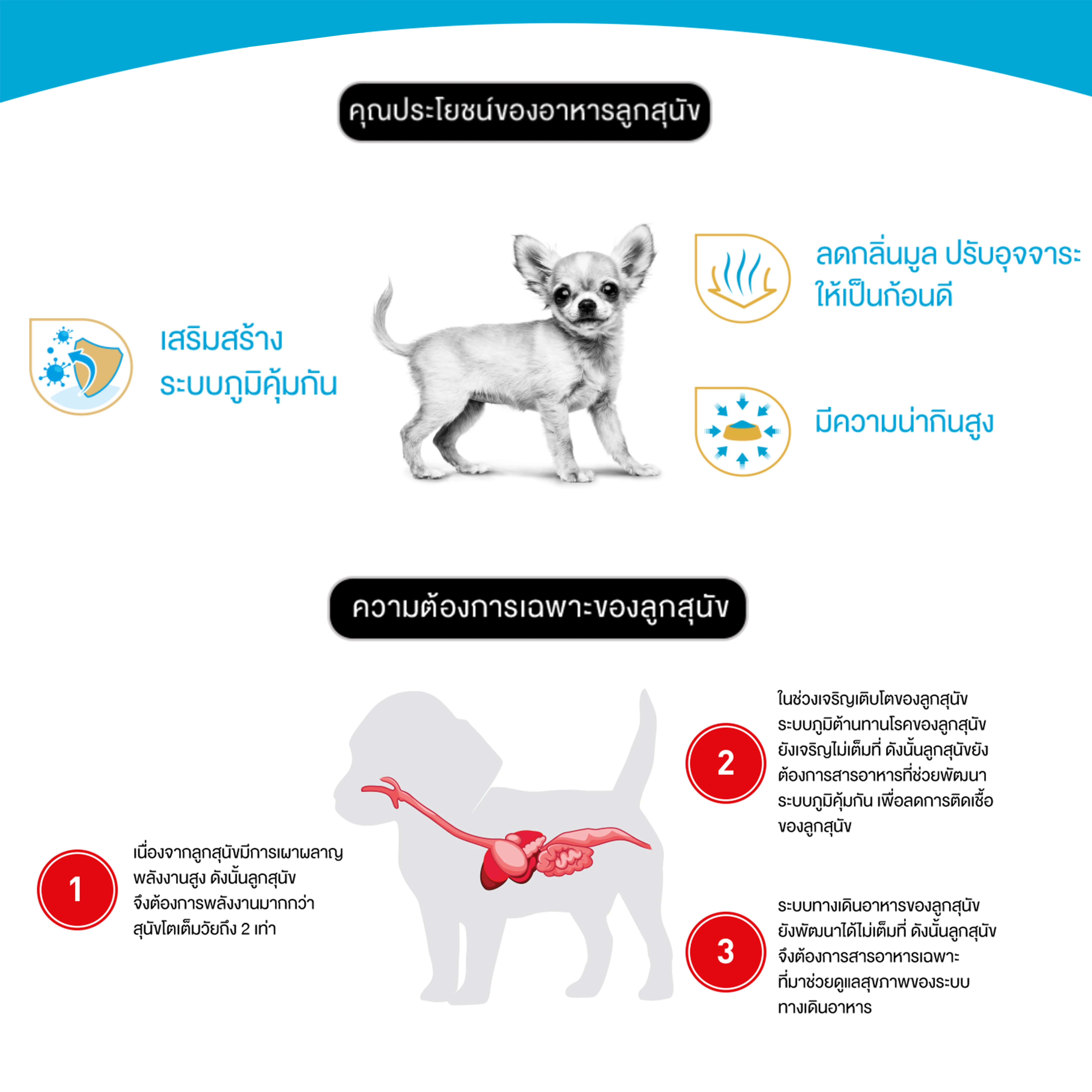 ROYAL CANIN Chihuahua Puppy อาหารเม็ดสำหรับลูกสุนัขพันธุ์ชิวาวา