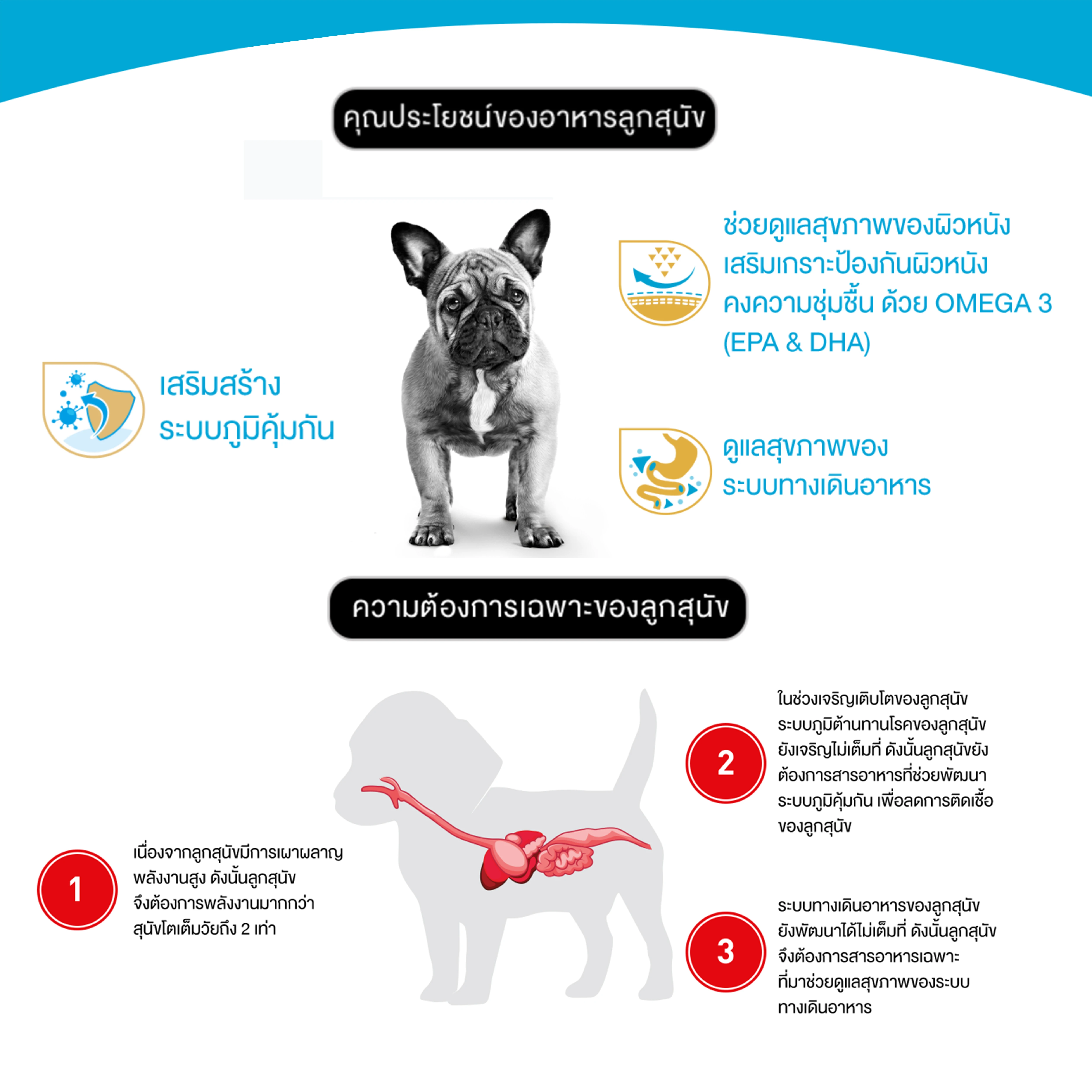 ROYAL CANIN French Bulldog  Puppy  อาหารเม็ดสำหรับลูกสุนัขเฟรนชบูลด็อก