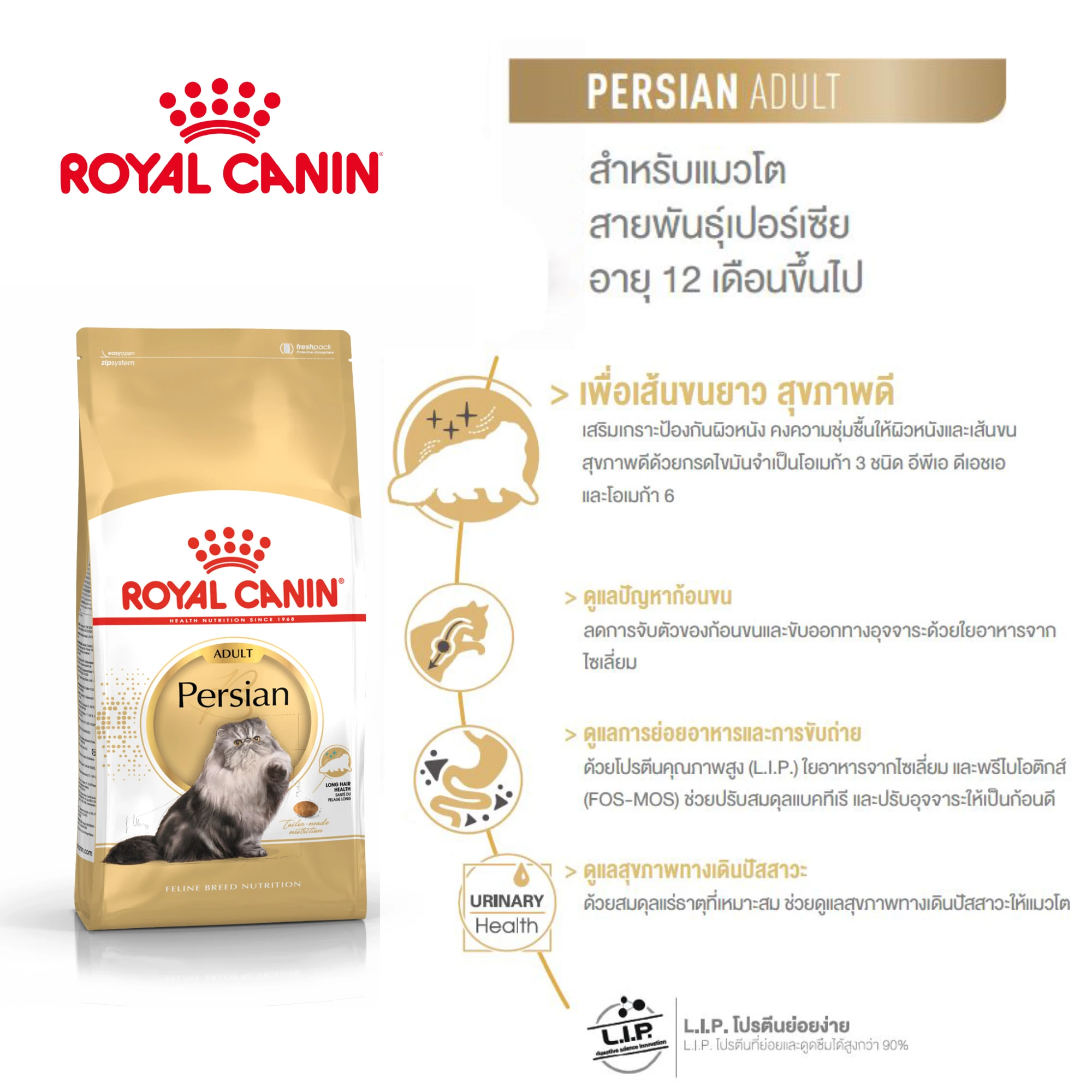 ROYAL CANIN Persian (ADULT) Adult cat food over 1 year   Persian breed Skin and hair care