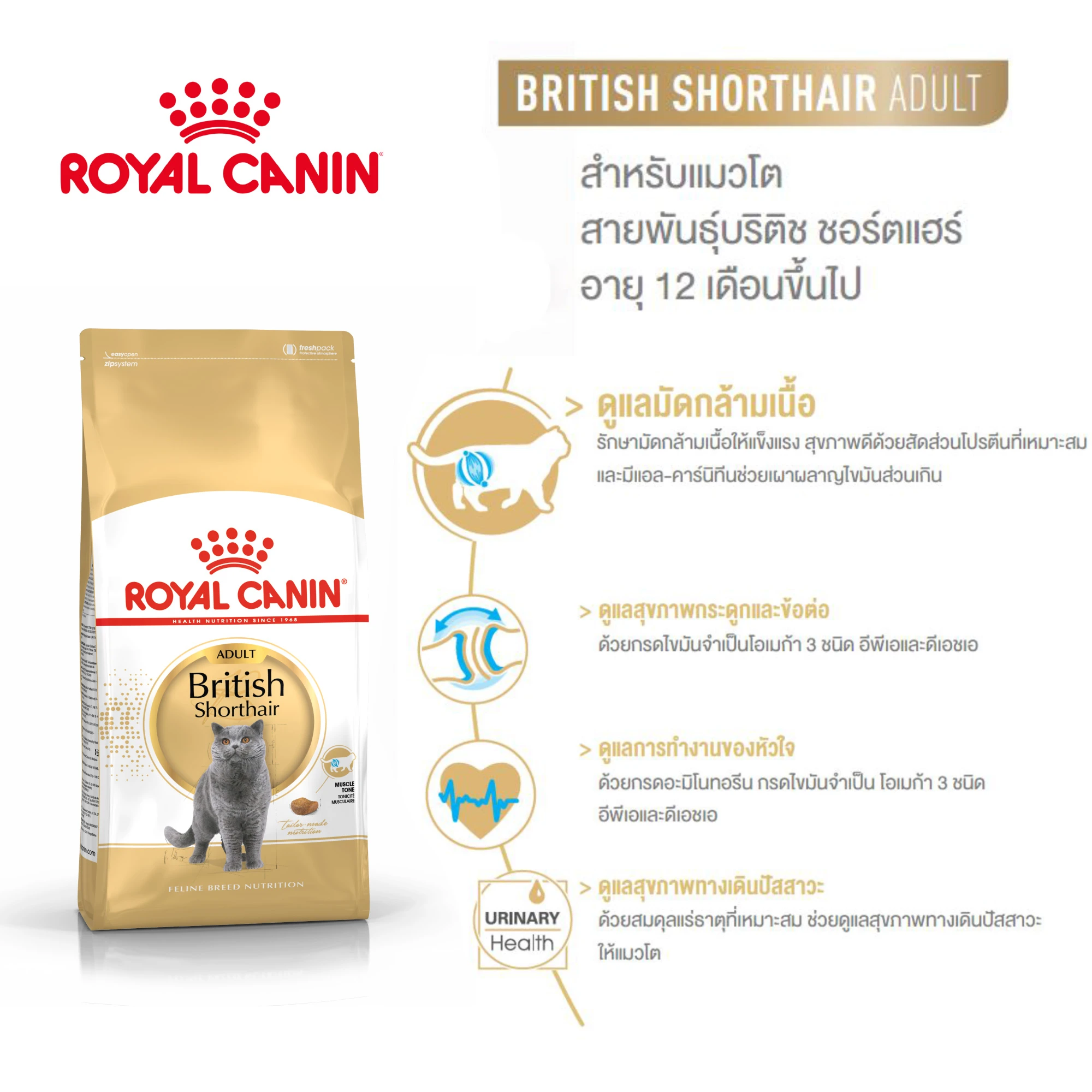 ROYAL CANIN British Shorthair Adult อาหารเม็ดสำหรับแมวโต สายพันธุ์บริสติส ช็อตแฮร