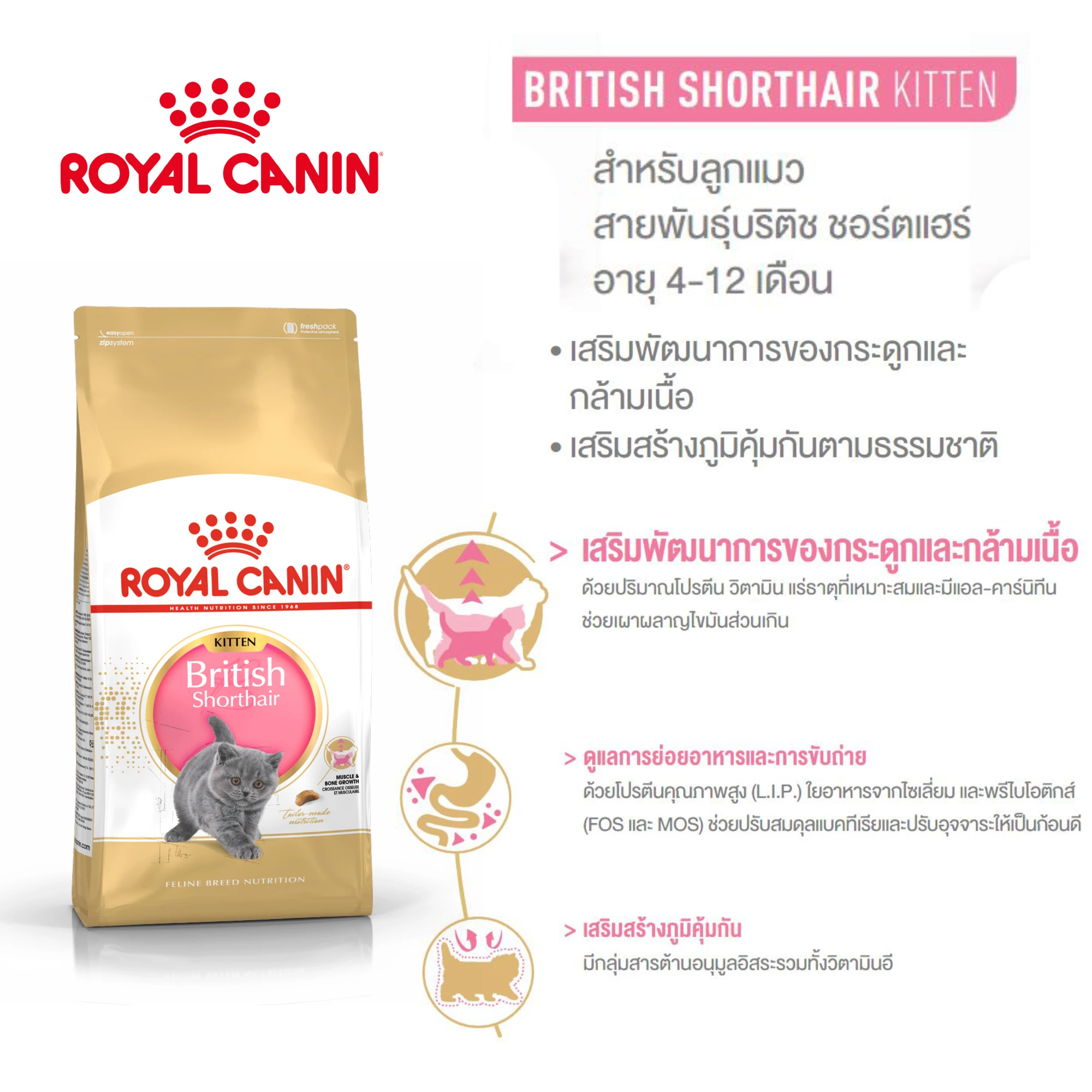 ROYAL CANIN Kitten British Short Hair อาหารเม็ดสำหรับลูกแมว4-12เดือน สายพันธุ์บริติชชอร์ตแฮร์