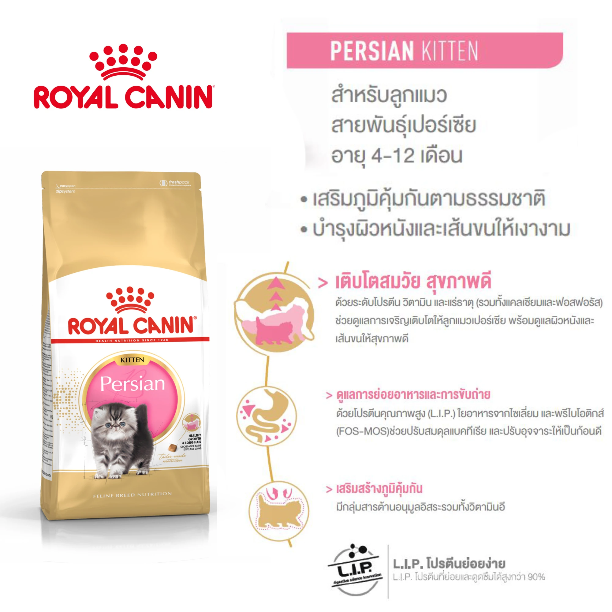 ROYAL CANIN Kitten Persian อาหารเม็ดสำหรับลูกแมว4-12เดือนสายพันธุ์เปอร์เซีย