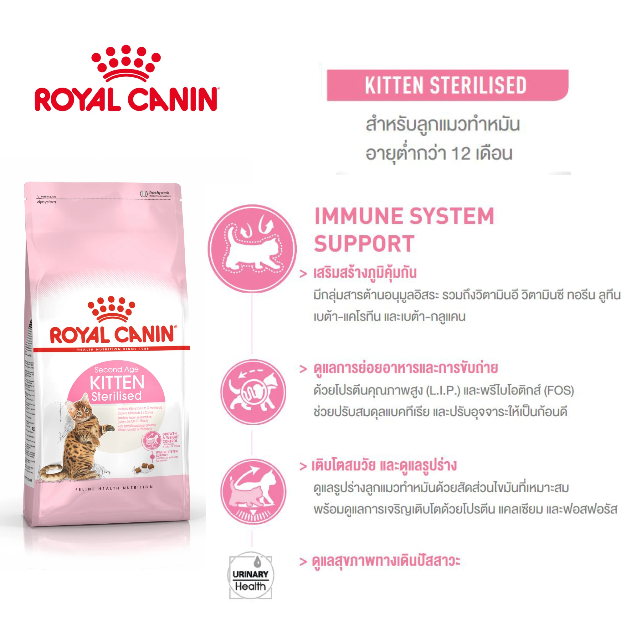 ROYAL CANIN KITTEN STERILISED อาหารเม็ดสำหรับลูกแมวทำหมัน6-12เดือนทุกสายพันธุ์