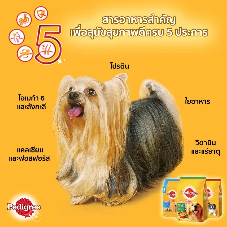 Pedigree Adult Small Breed อาหารเม็ดสำหรับสุนัขโตพันธุ์เล็ก