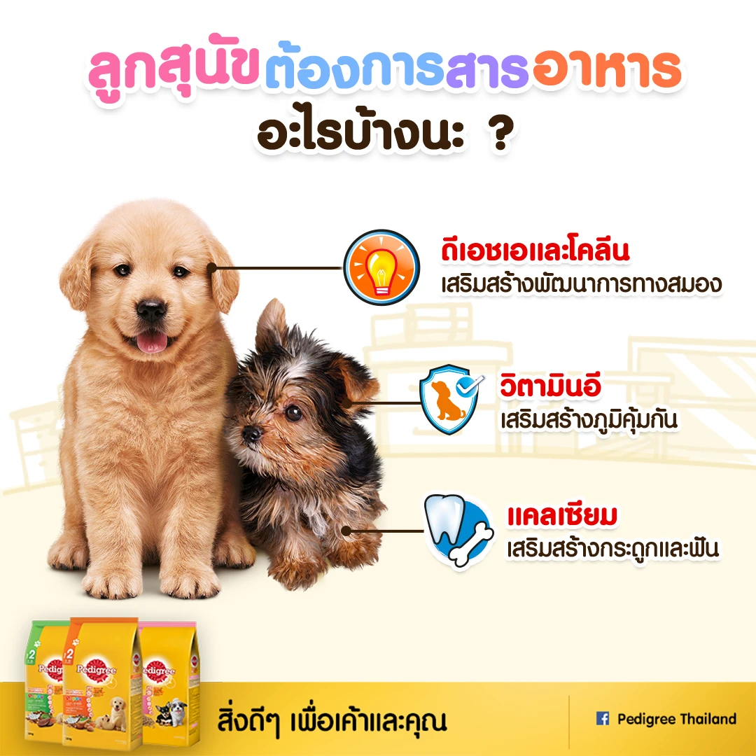 Pedigree Puppy All Breed อาหารเม็ดสำหรับลูกสุนัขทุกสายพันธุ์