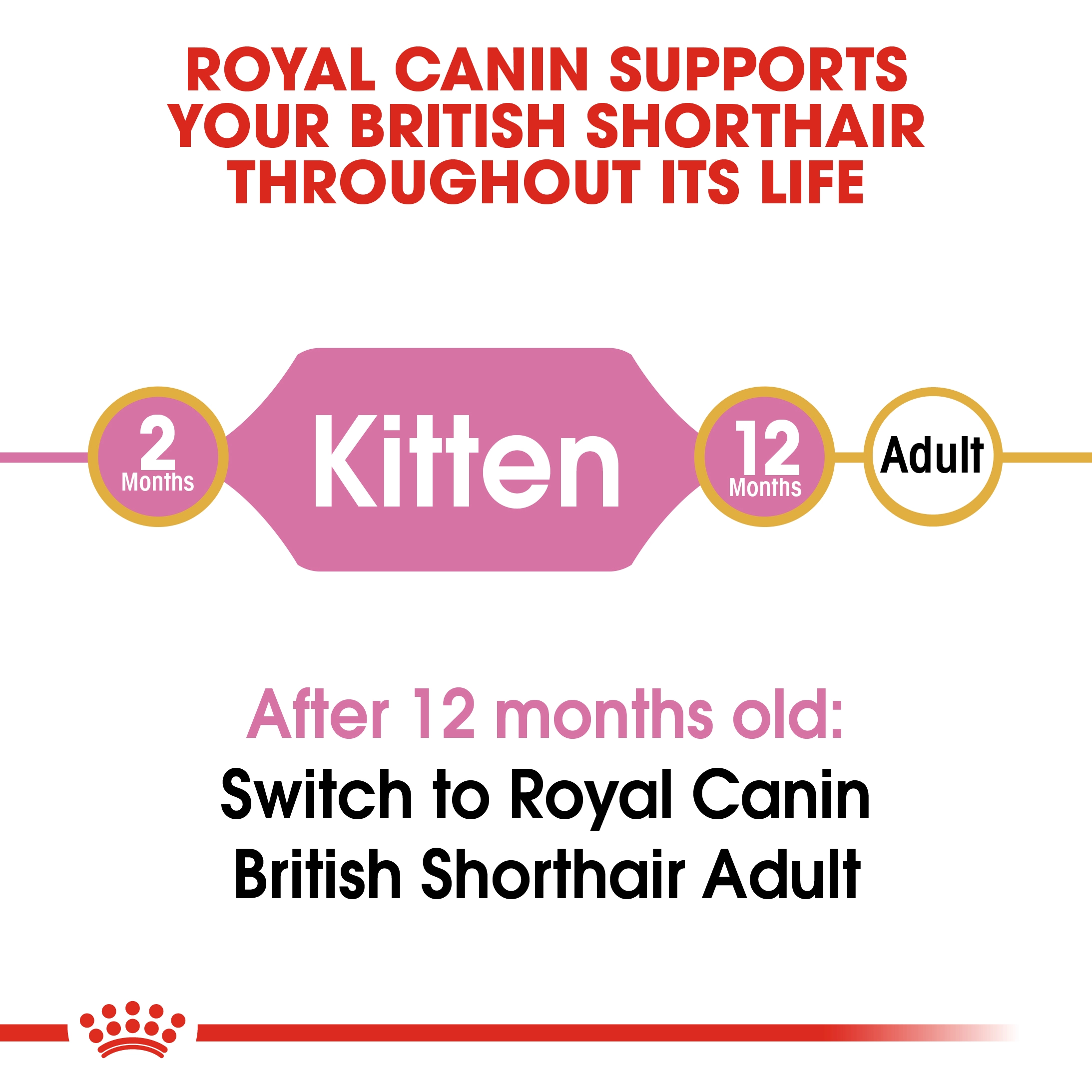 ROYAL CANIN Kitten British Short Hair อาหารเม็ดสำหรับลูกแมว4-12เดือน สายพันธุ์บริติชชอร์ตแฮร์