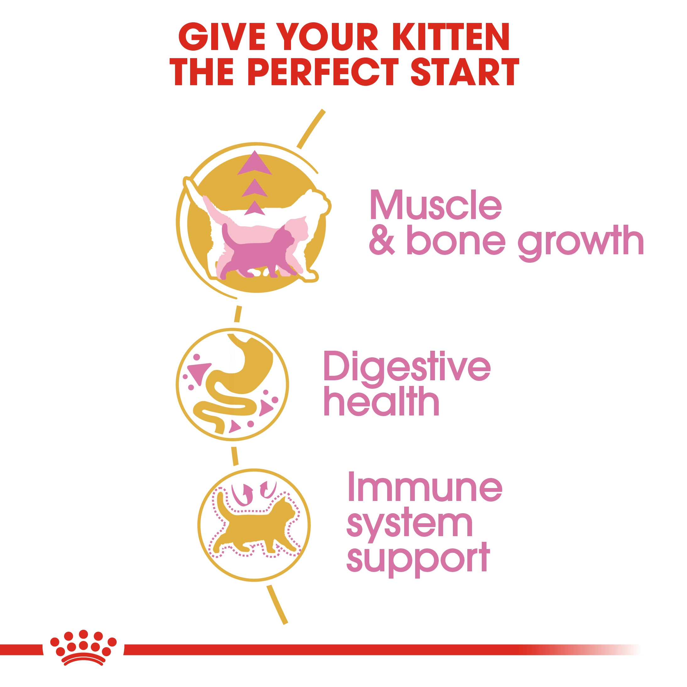 ROYAL CANIN Kitten British Short Hair อาหารเม็ดสำหรับลูกแมว4-12เดือน สายพันธุ์บริติชชอร์ตแฮร์