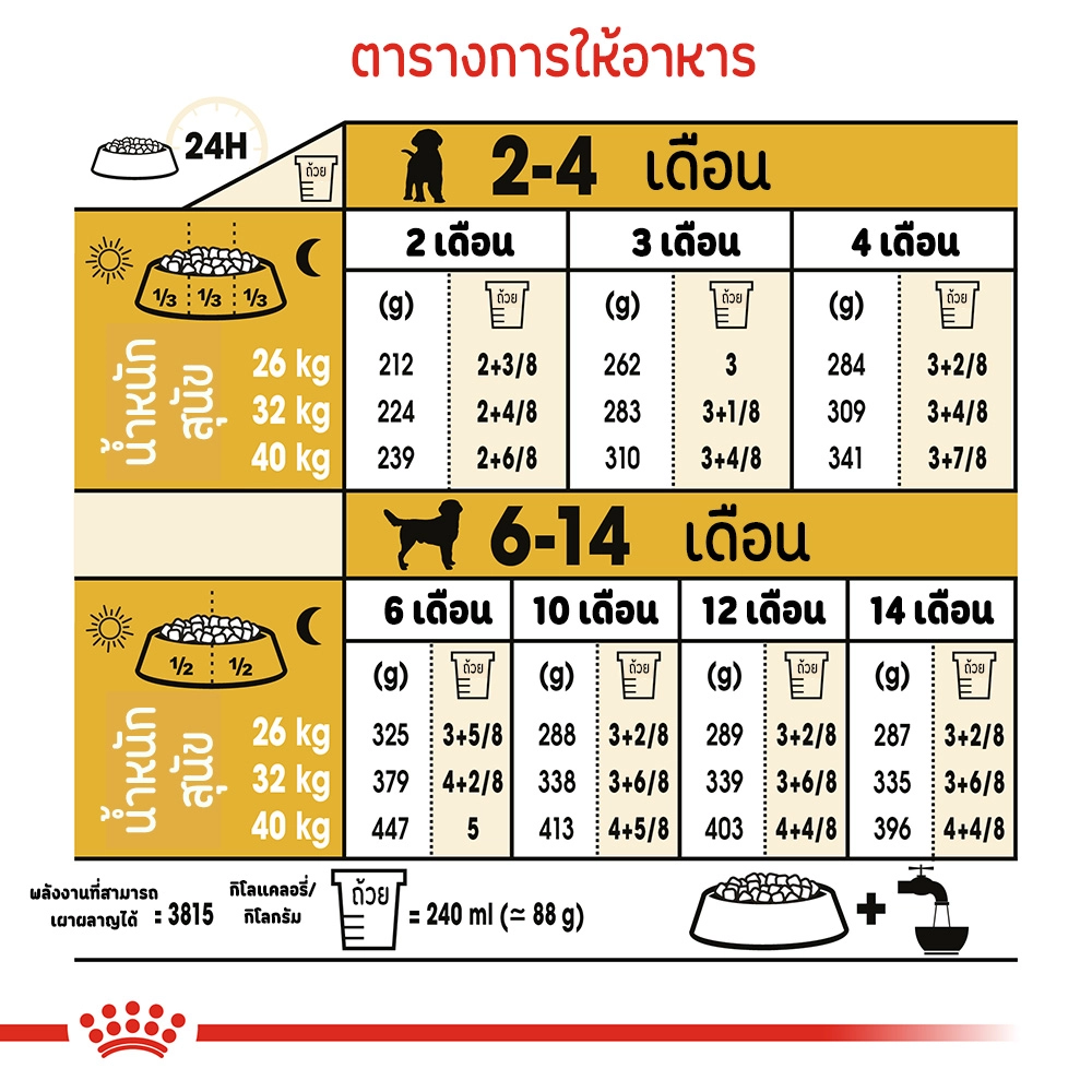 ROYAL CANIN Labrador Retrieve Puppy อาหารเม็ดสำหรับลูกสุนัขพันธุ์ลาบราดอร์รีทรีฟเวอร์