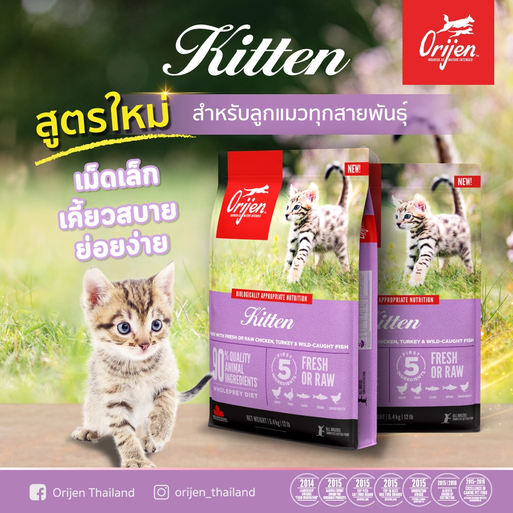 Orijen Kitten Formula Kitten food from 2 12 months. Chicken, Turkey, Fish formula.