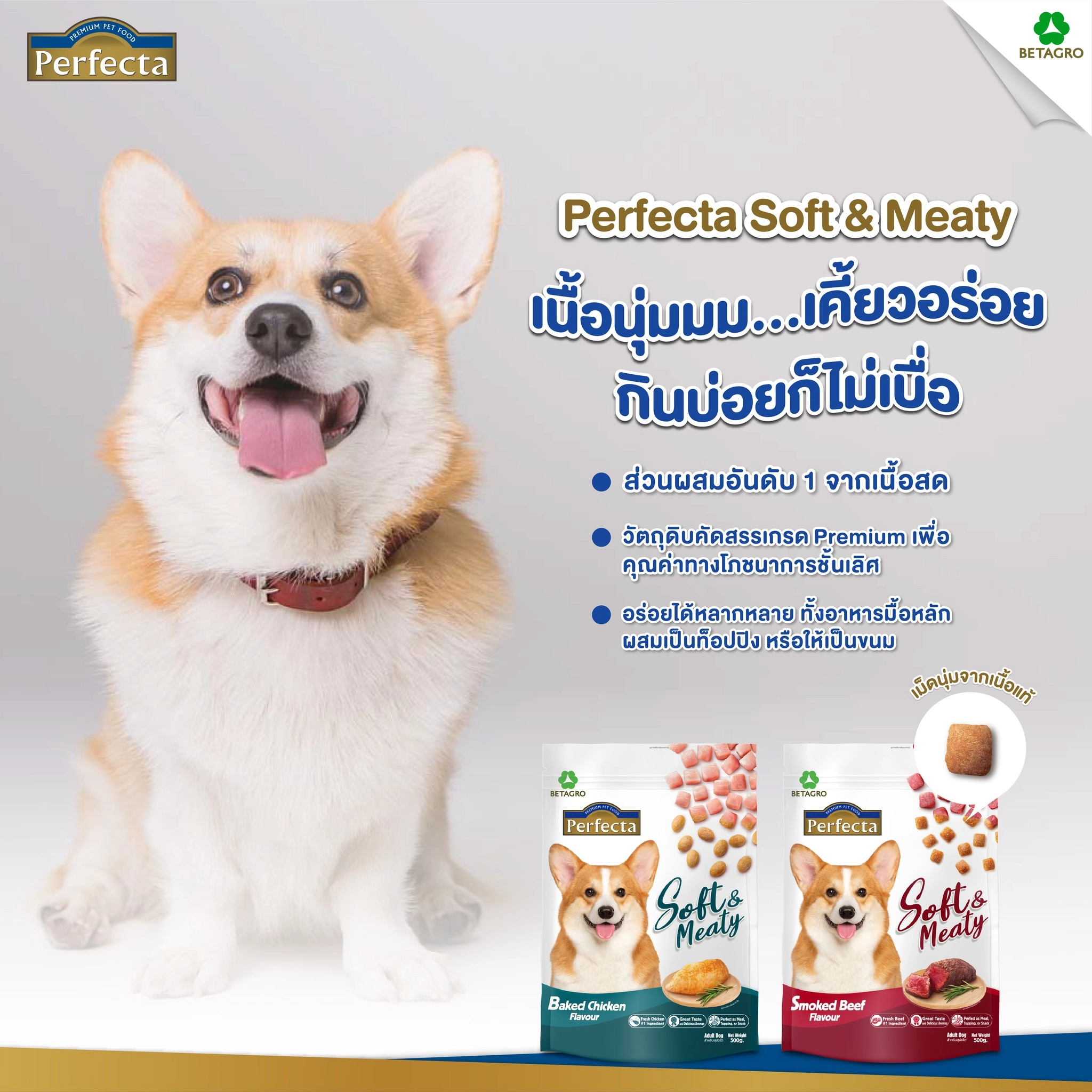 Perfecta Soft&Meaty สุนัขโต1ปีขึ้นไป อ.เม็ดนุ่ม