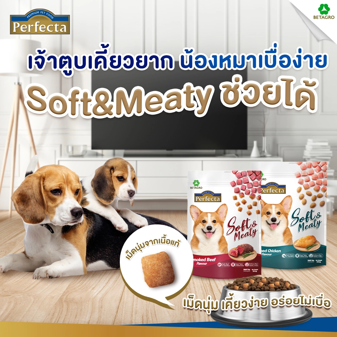 Perfecta Soft&Meaty สุนัขโต1ปีขึ้นไป อ.เม็ดนุ่ม