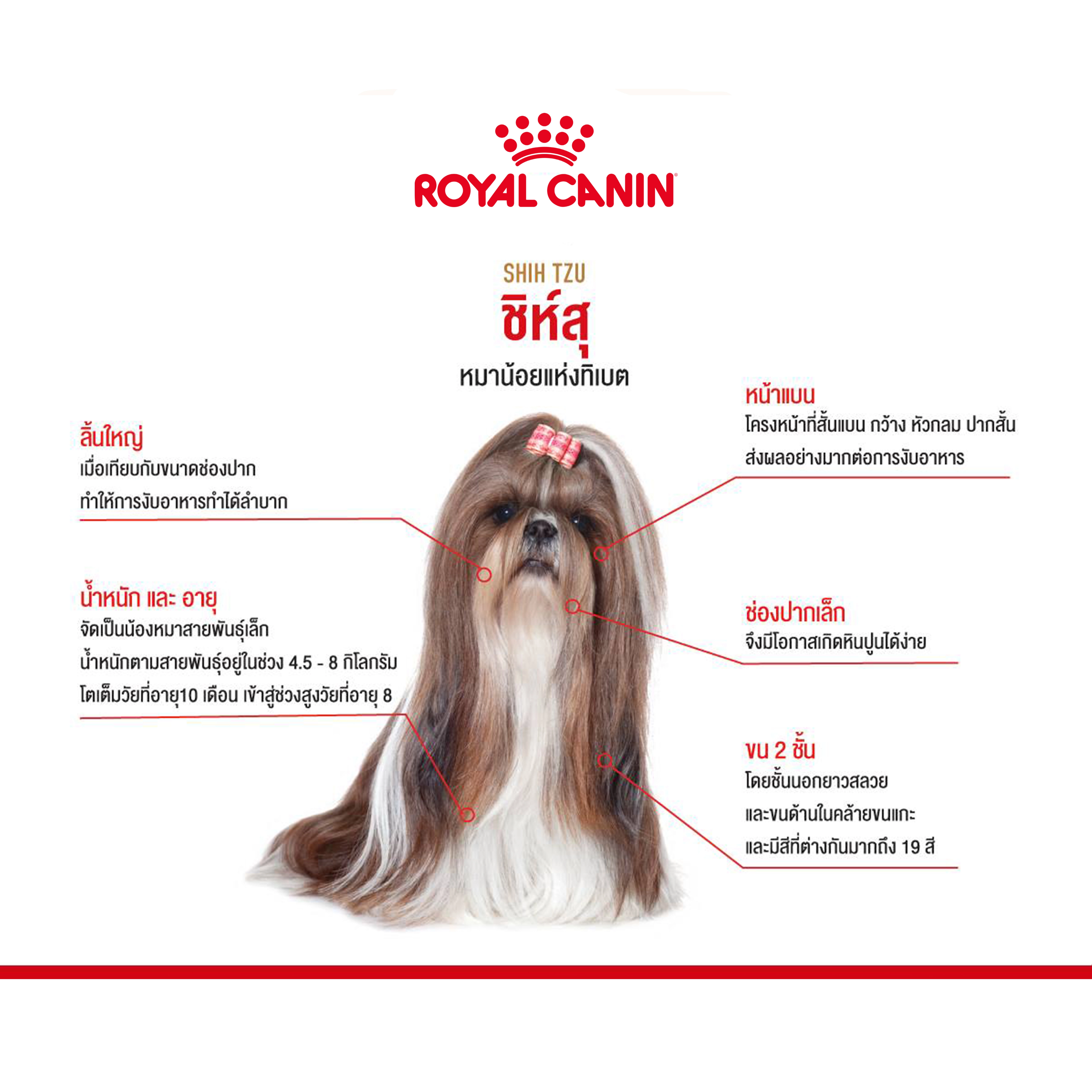 ROYAL CANIN ADULT Shih Tzu อาหารเม็ด สำหรับสุนัขโต พันธุ์ชิห์สุ