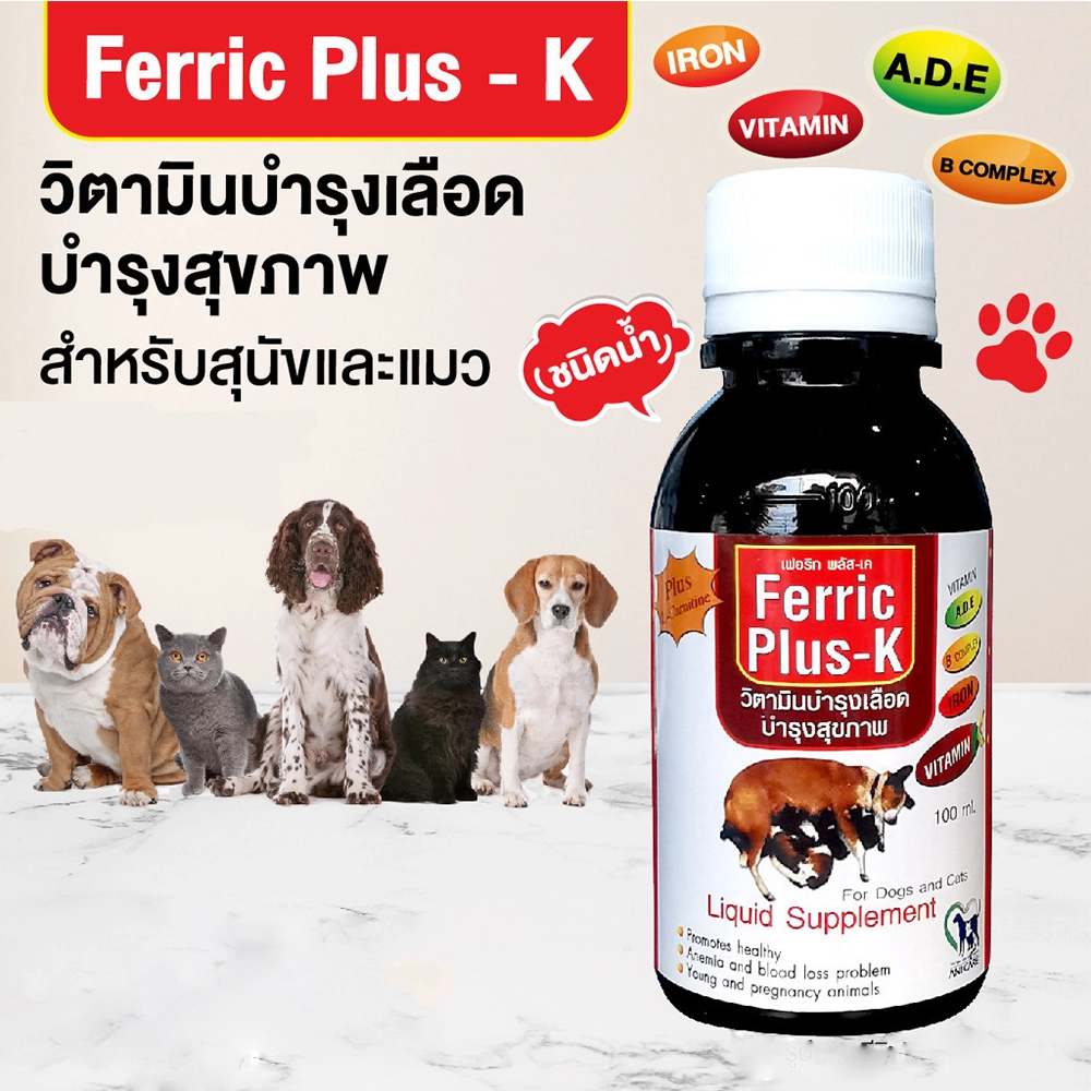 Ferric plus K วิตามินบำรุงเลือด (ชนิดน้ำ) 100 ml