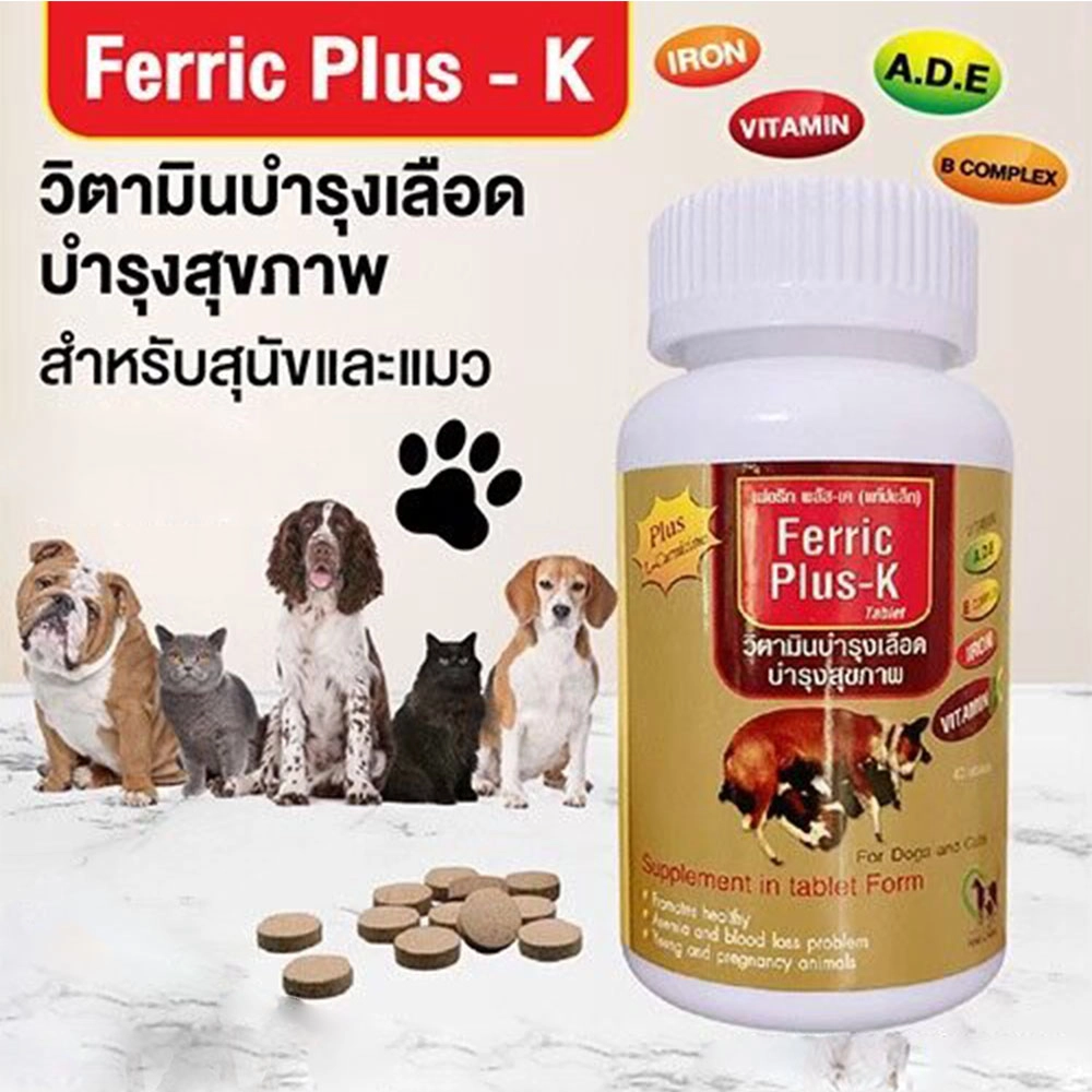 Ferric plus K วิตามินบำรุงเลือด (ชนิดเม็ด) 40 เม็ด