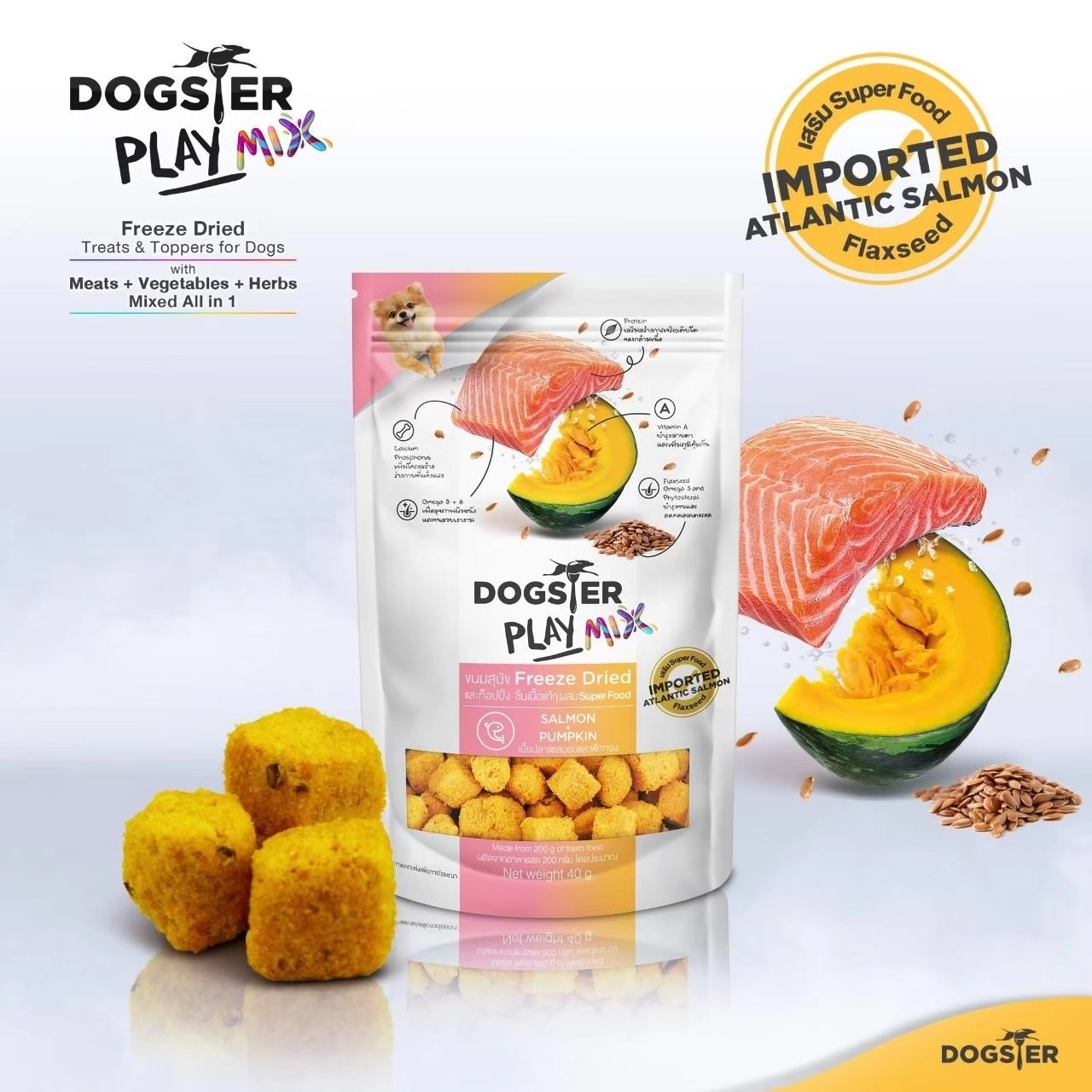 Dogster Playmix Salmon+Pumpkin (เนื้อปลาแซลมอนและฟักทอง)40g