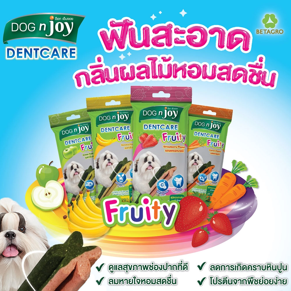 Dog n joy เดนท์แคร์ ฟรุ้ทตี้ 70 กรัม