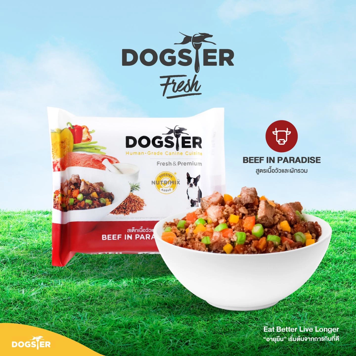 Dogster Fresh Beef in Paradise (สูตรเนื้อวัวและผักรวม)