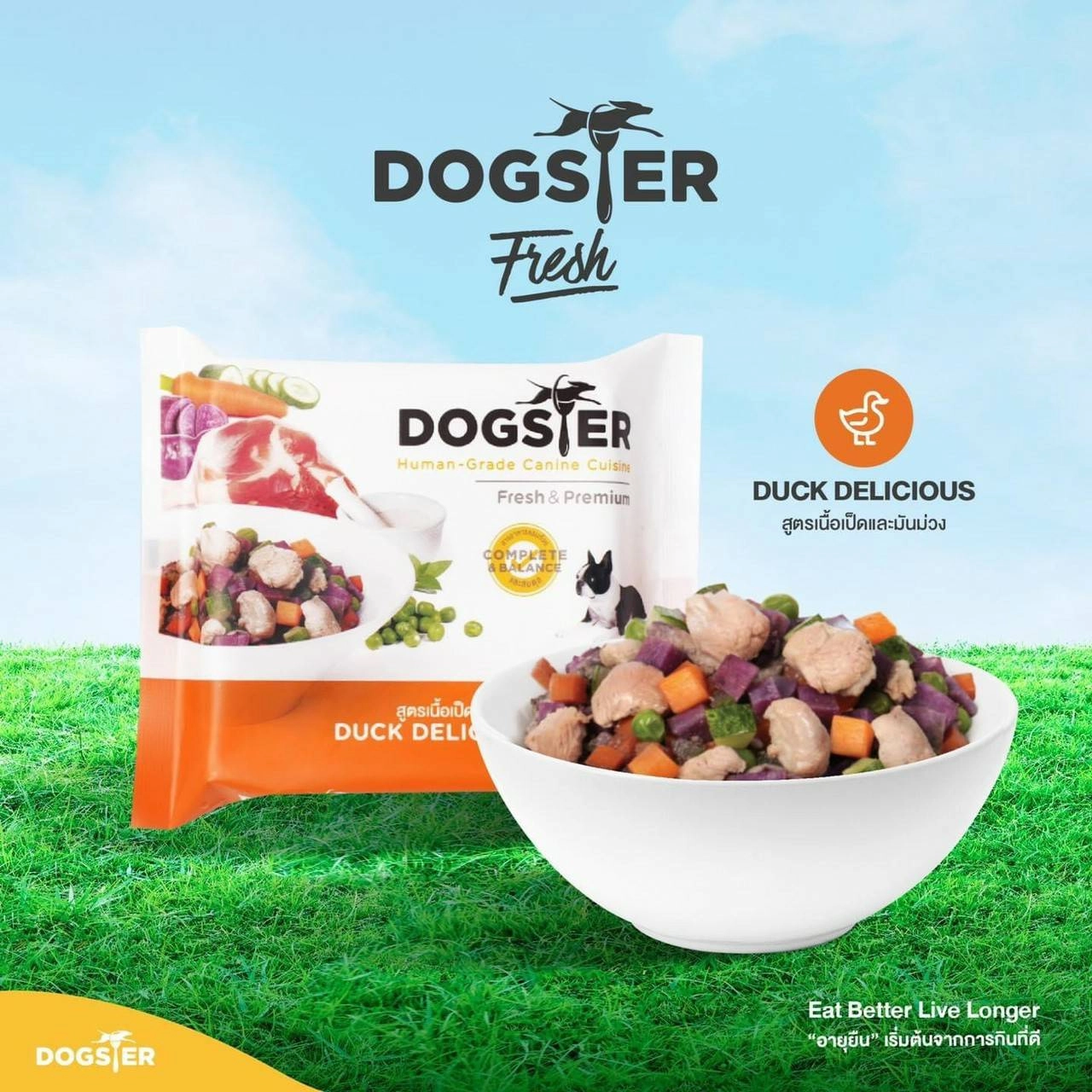 Dogster Fresh Duck Delicious (สูตรเนื้อเป็ดและมันม่วง)