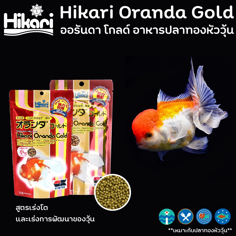 Hikari Oranda Gold อาหารปลาทองหัววุ้น