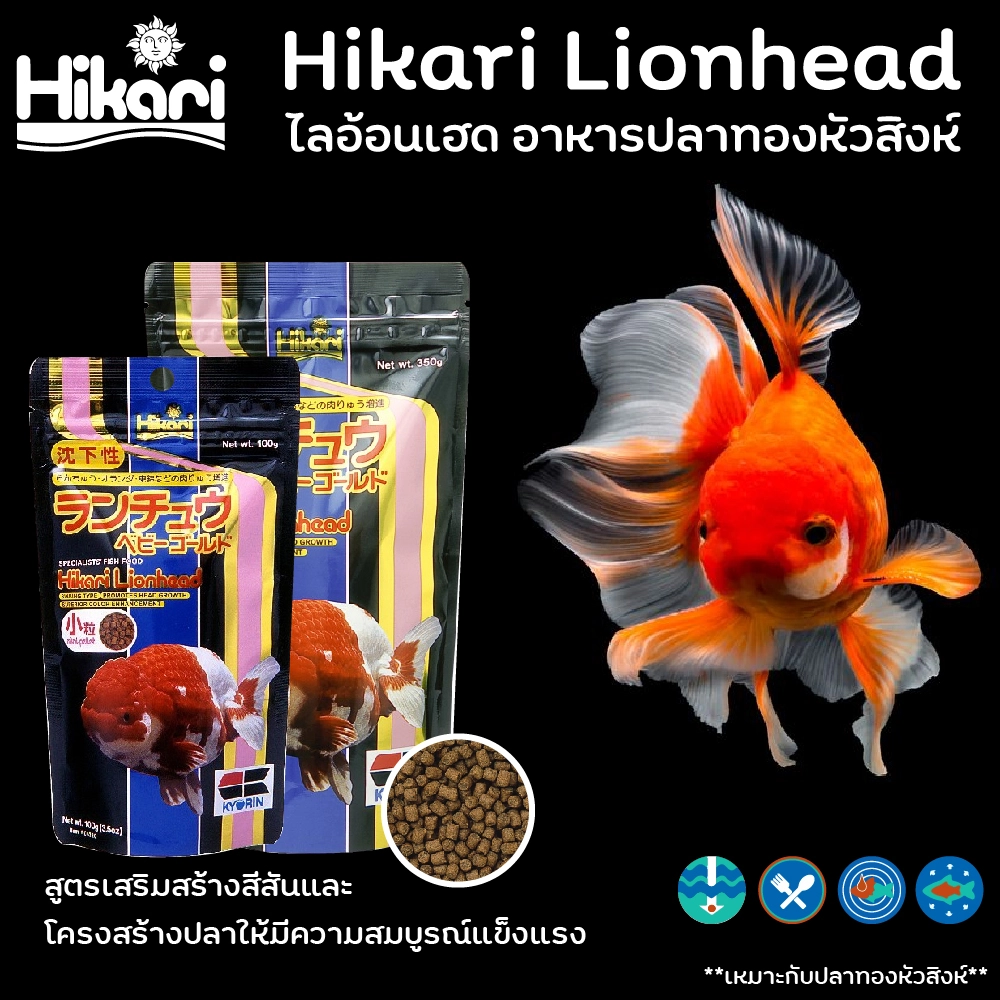 Hikari Lion Head อาหารปลาทองหัวสิงห์