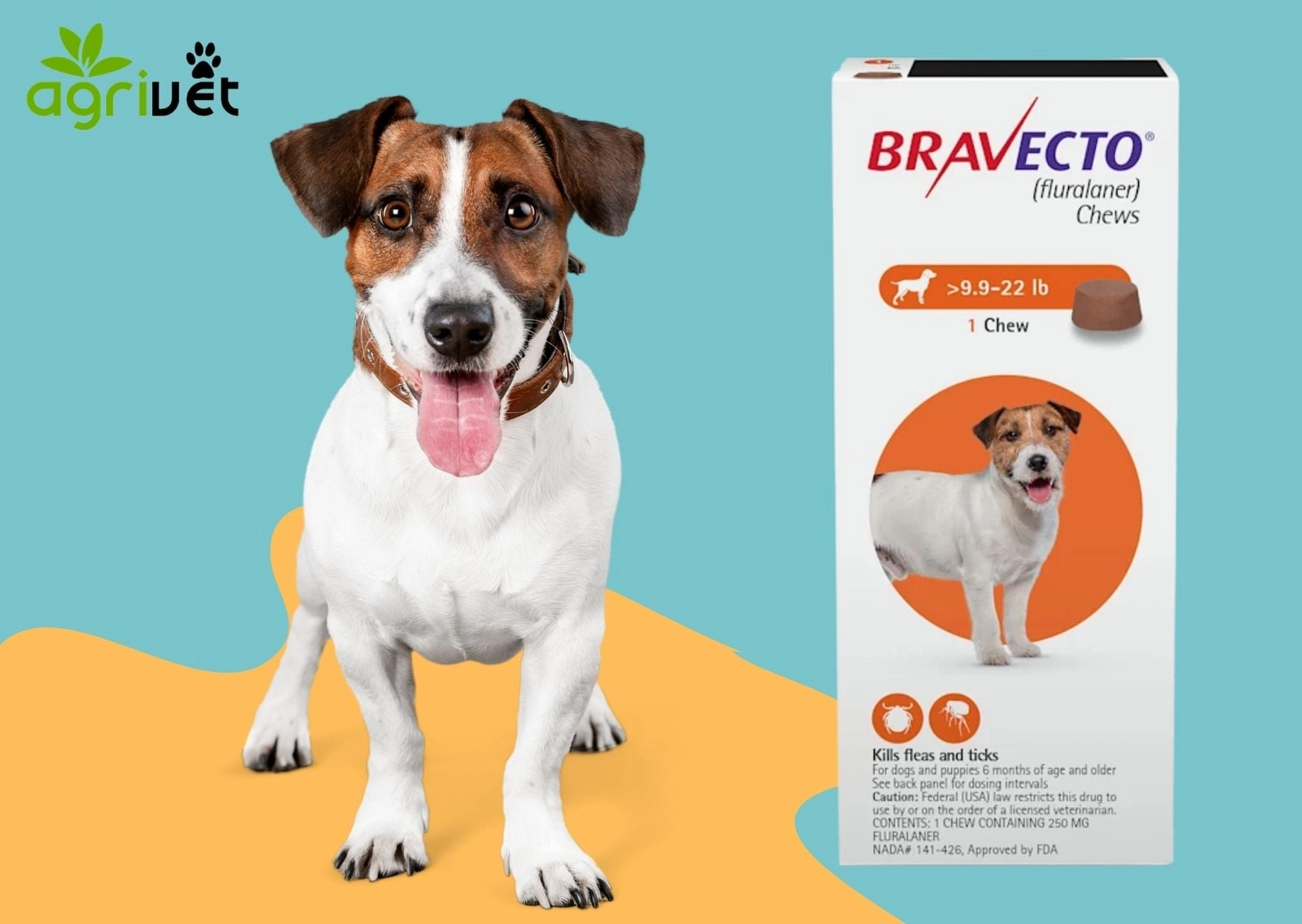 Bravecto ยากิน ป้องกันเห็บ หมัด สำหรับสุนัข