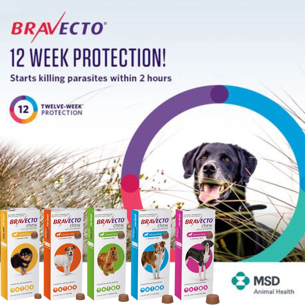 Bravecto Flea & Tick Treatment Chews for Dogs