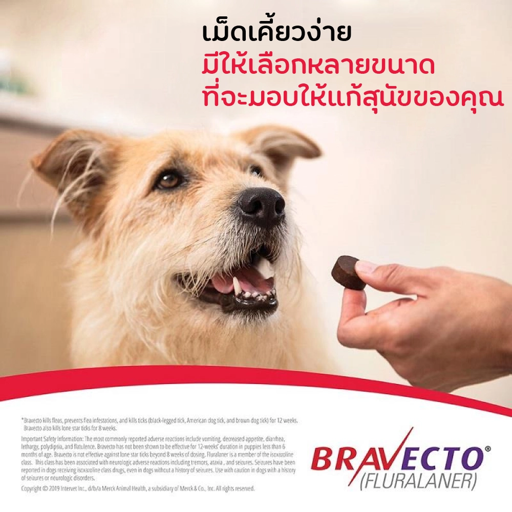 Bravecto ยากิน ป้องกันเห็บ หมัด สำหรับสุนัข